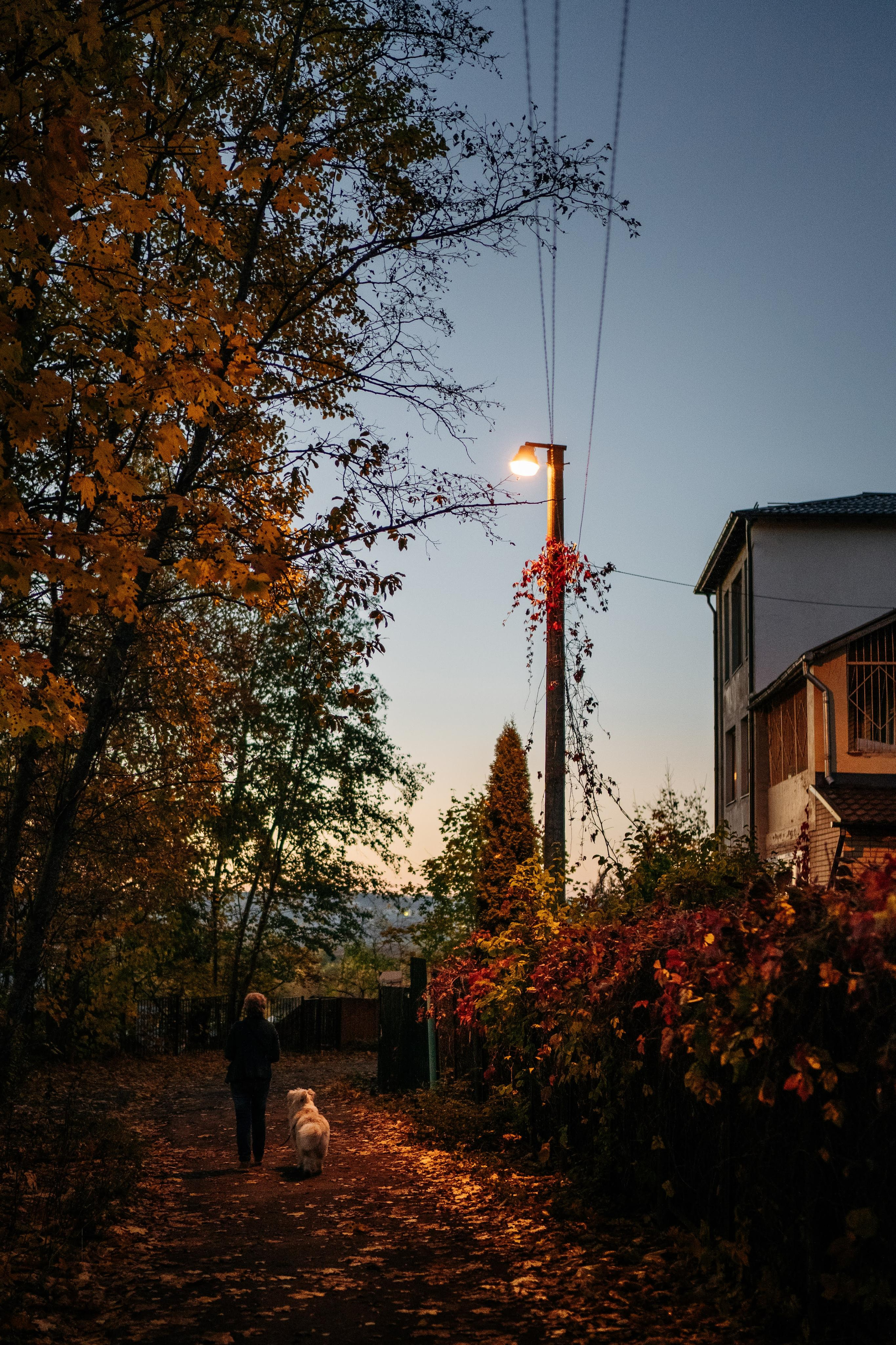 Julia and Marta. Real moments between people and their dogs