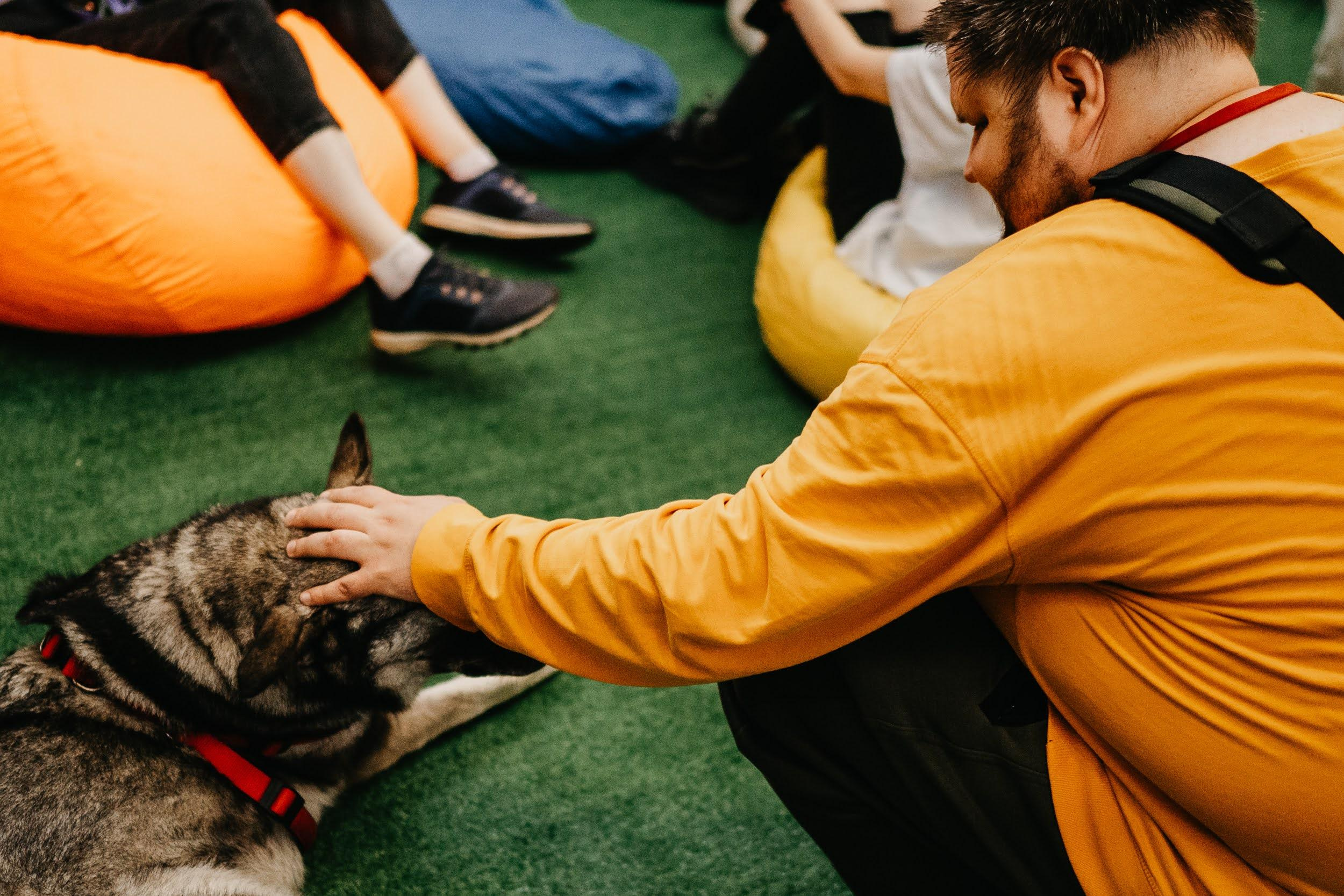 Shelter dogs. Real moments between people and their dogs
