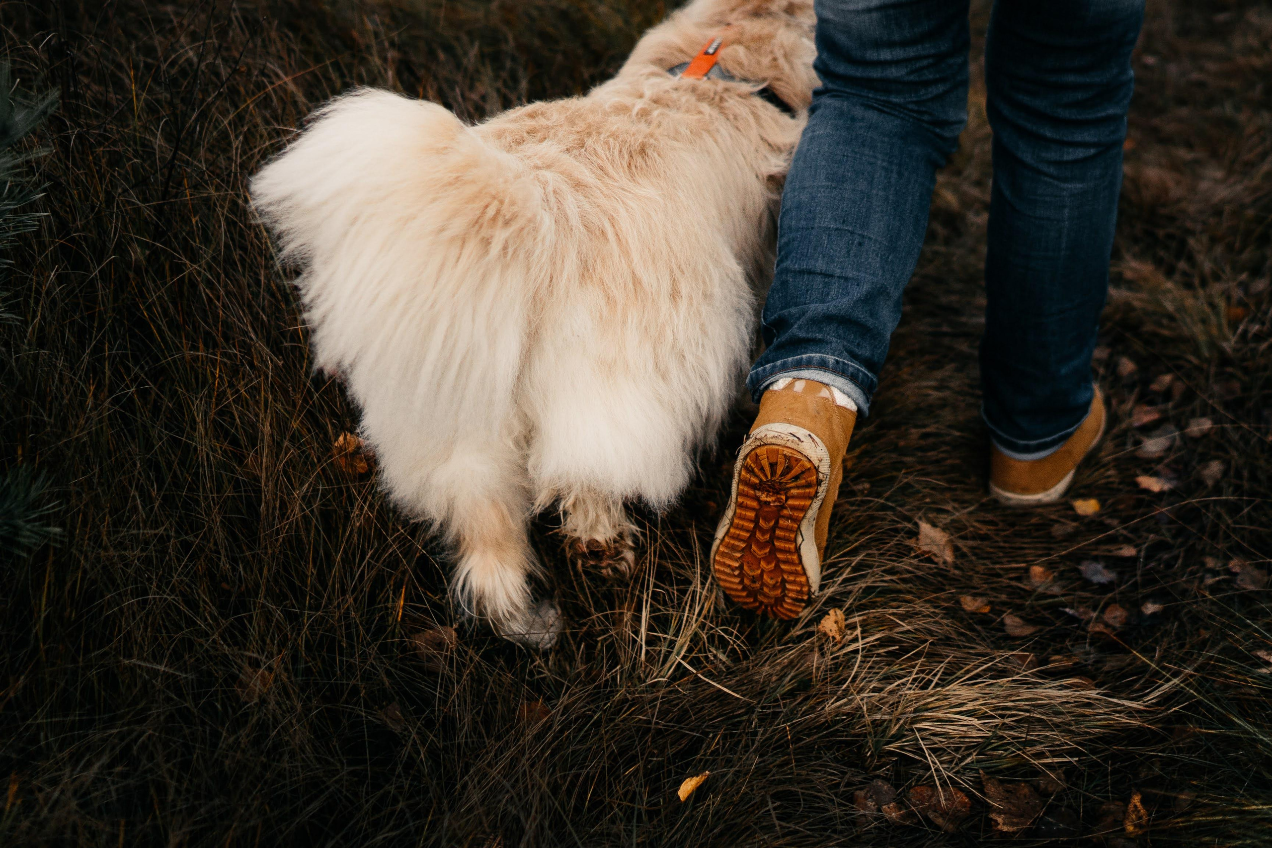 Julia and Marta. Real moments between people and their dogs