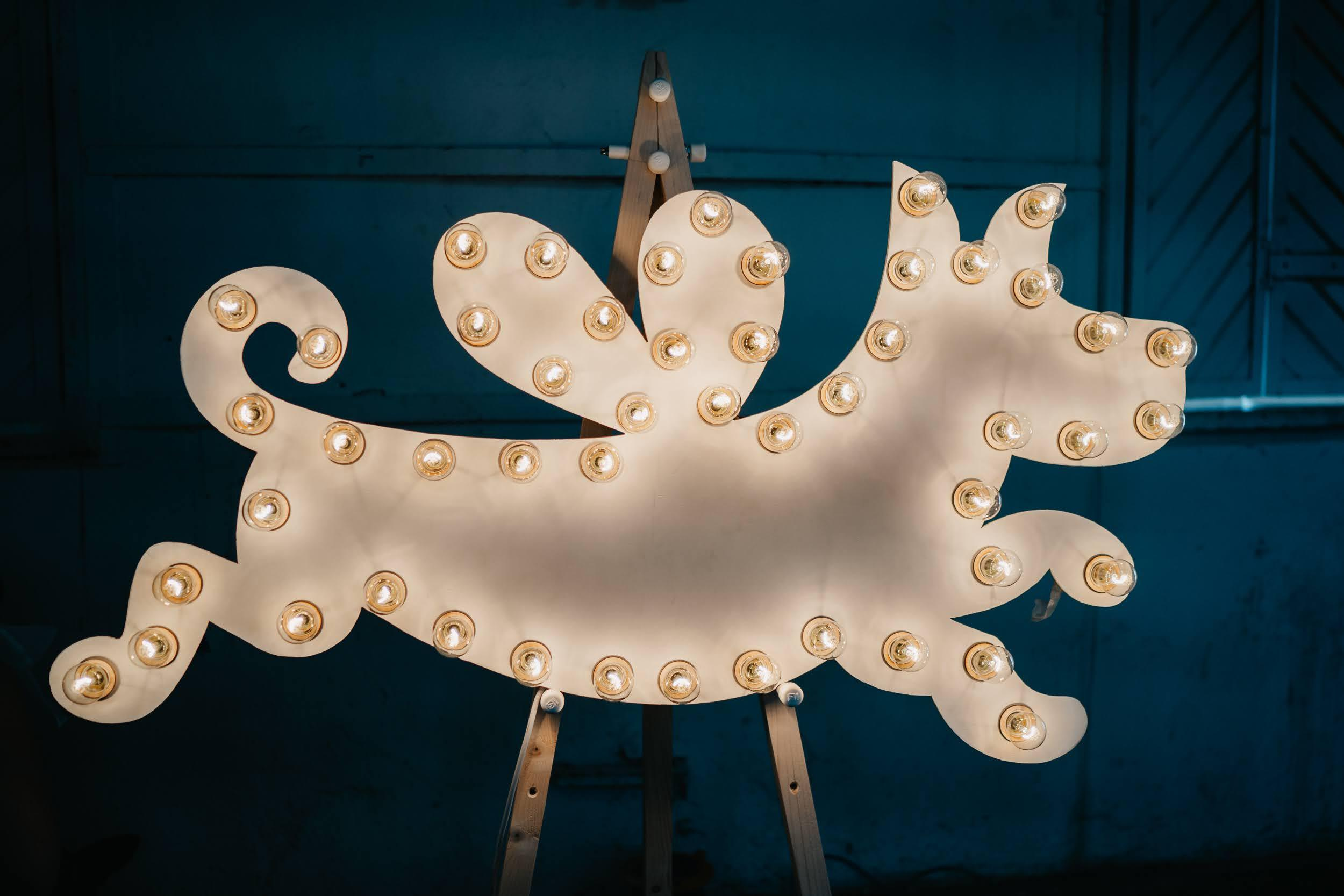 Shelter dogs. Real moments between people and their dogs