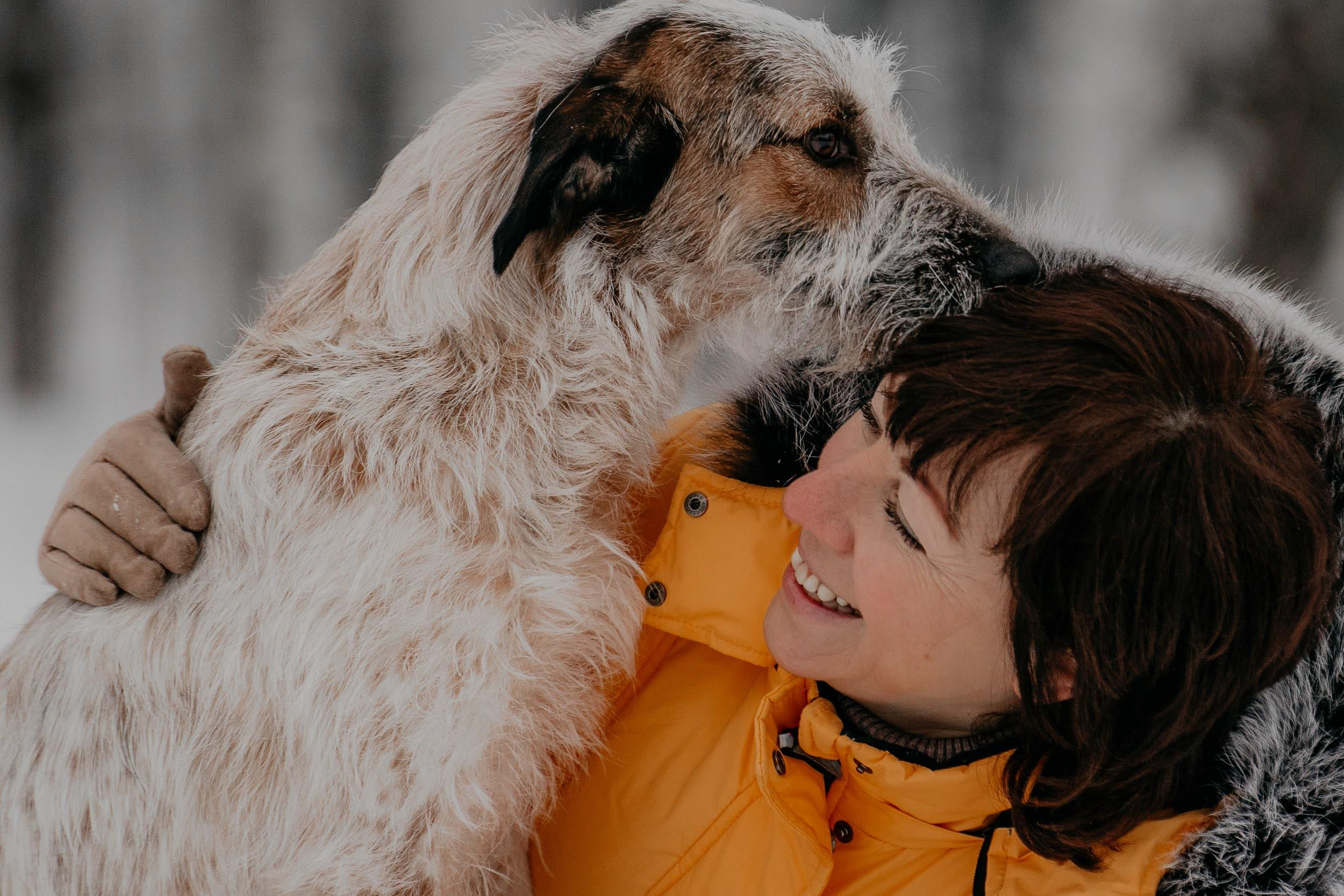 Are they looking for or have found a family. Real moments between people and their dogs
