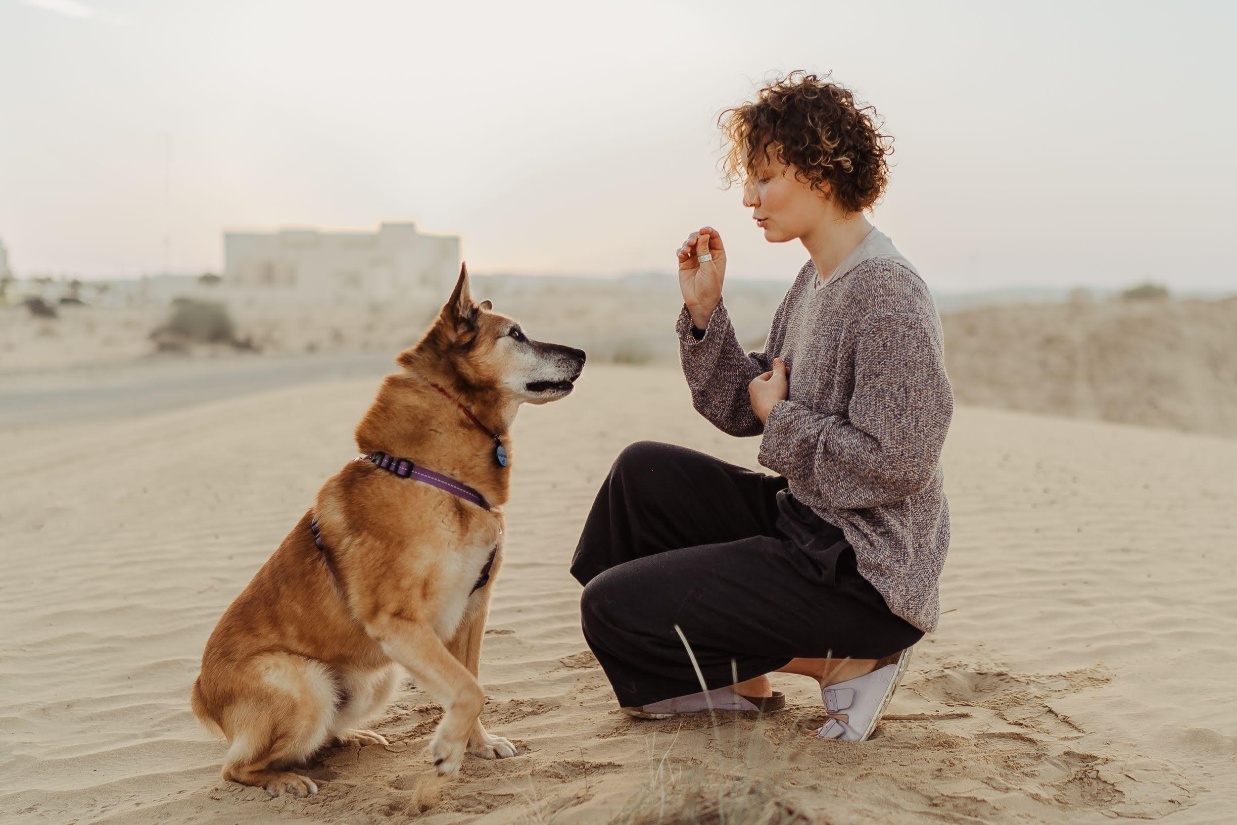 Violet and Hvostik. Real moments between people and their dogs