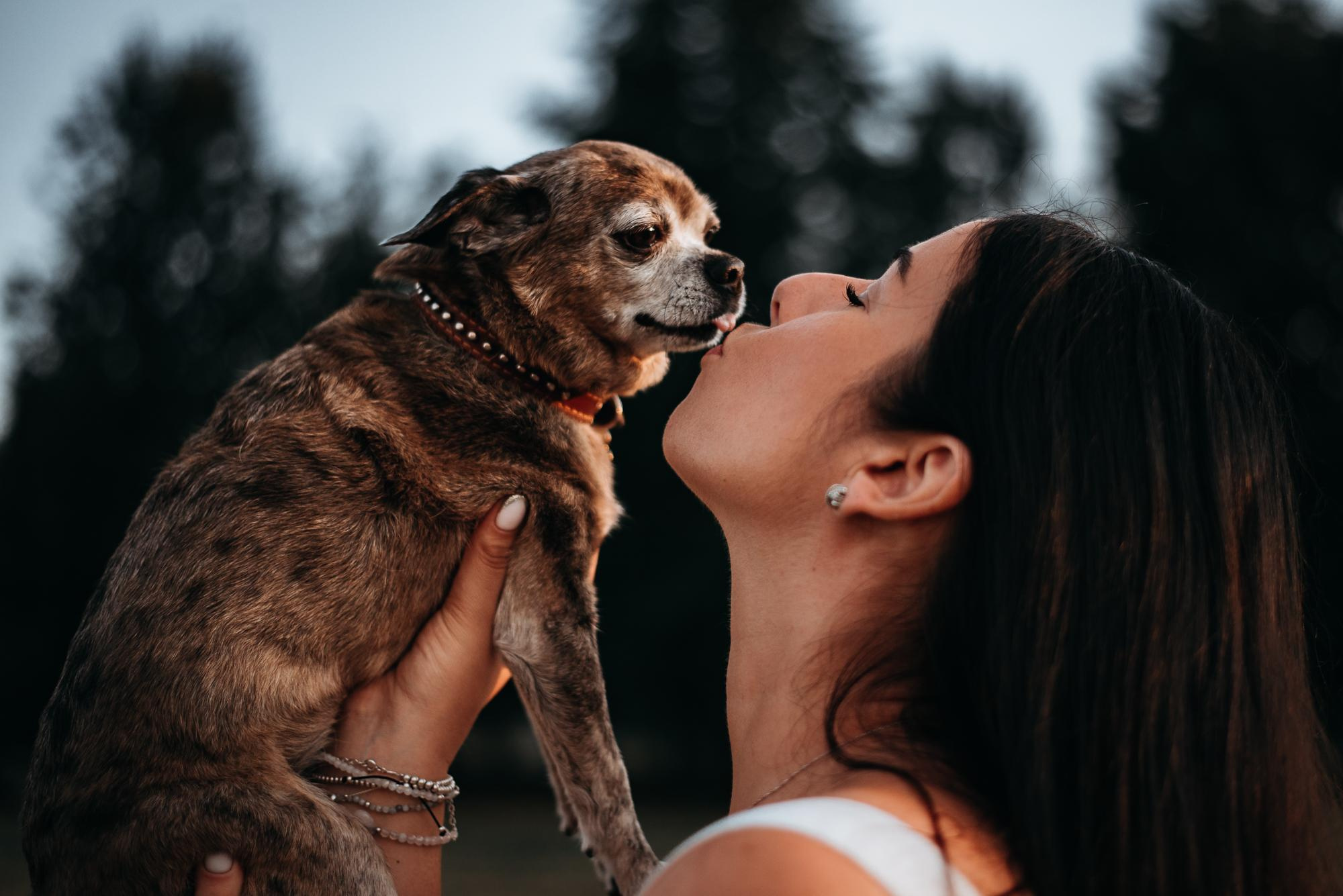 Elena and Vegas. Real moments between people and their dogs