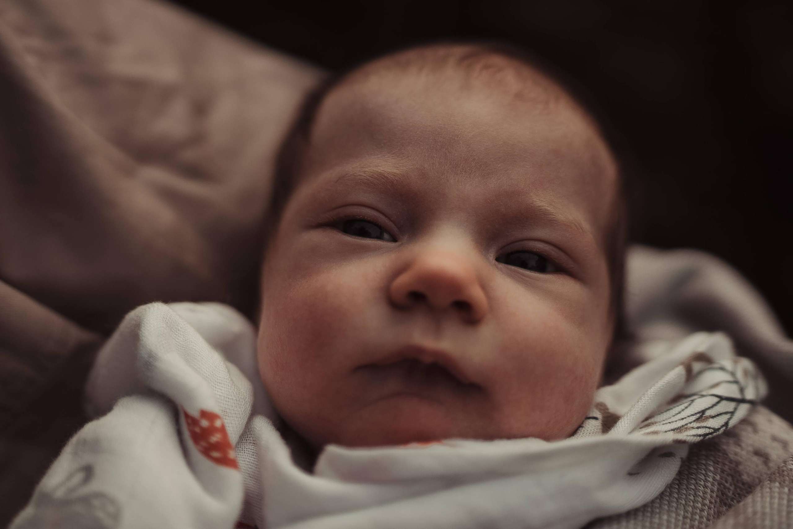 Family photo shoot. Real moments between people and their dogs