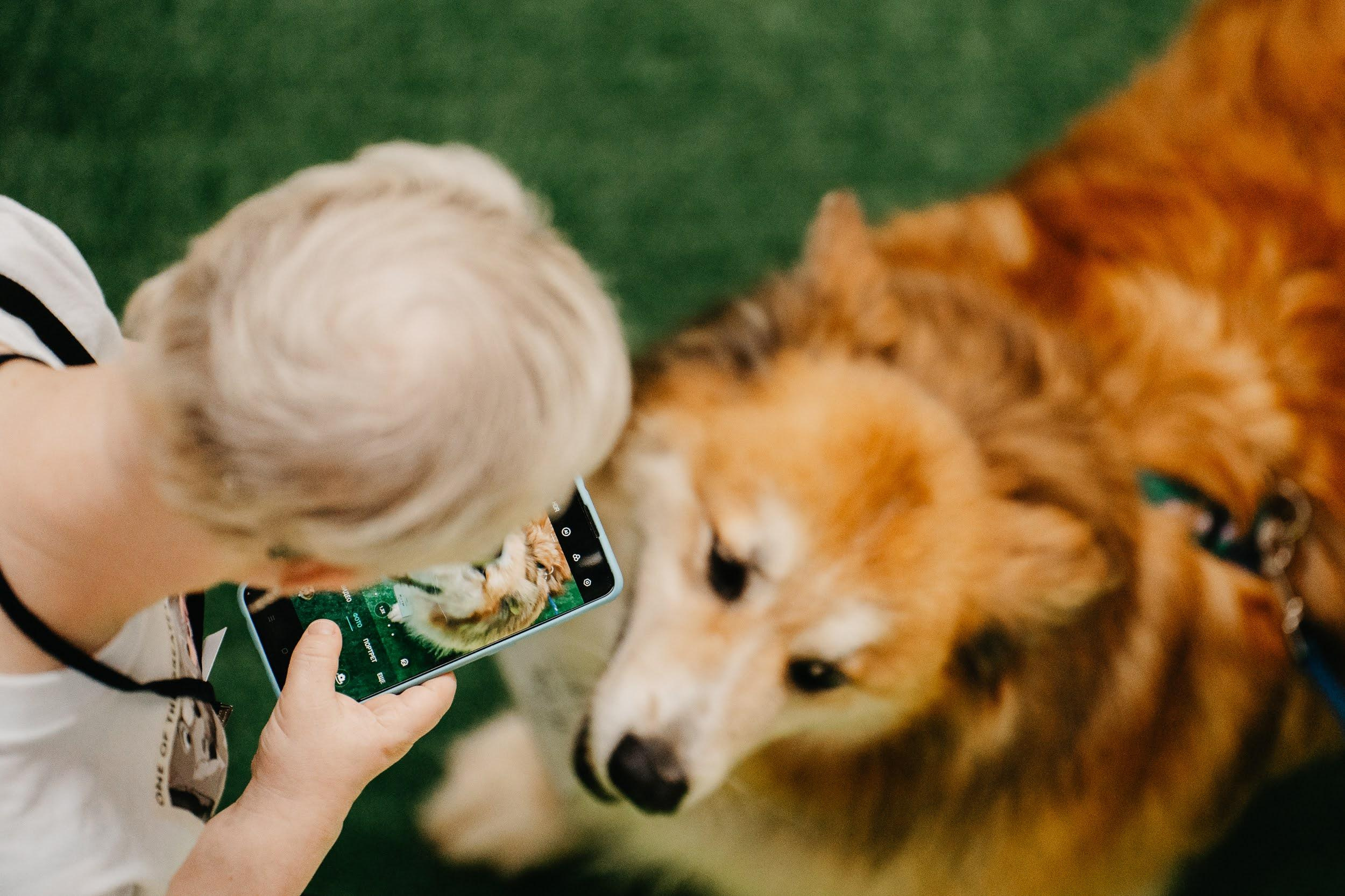 Shelter dogs. Real moments between people and their dogs