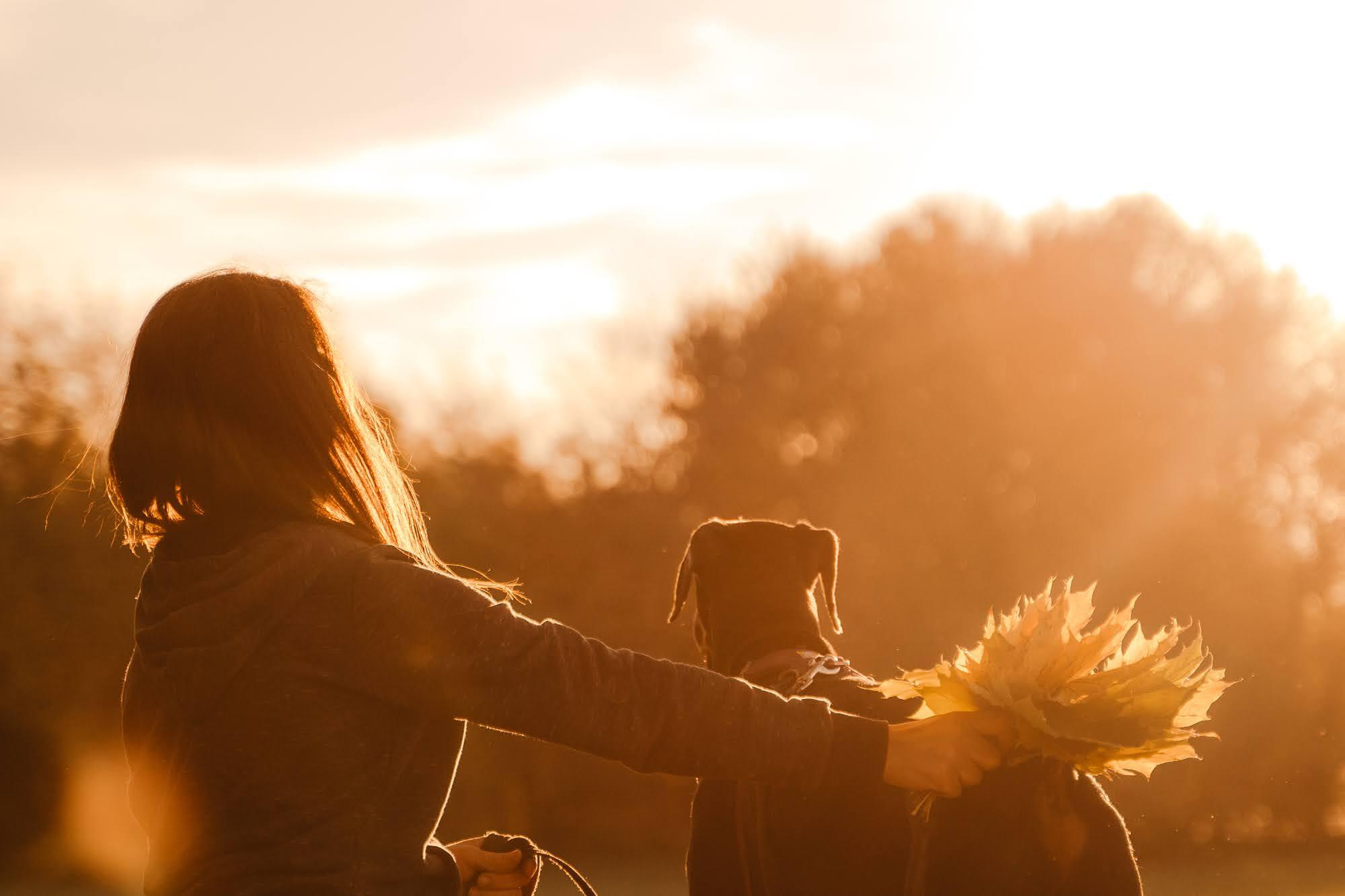 Are they looking for or have found a family. Real moments between people and their dogs