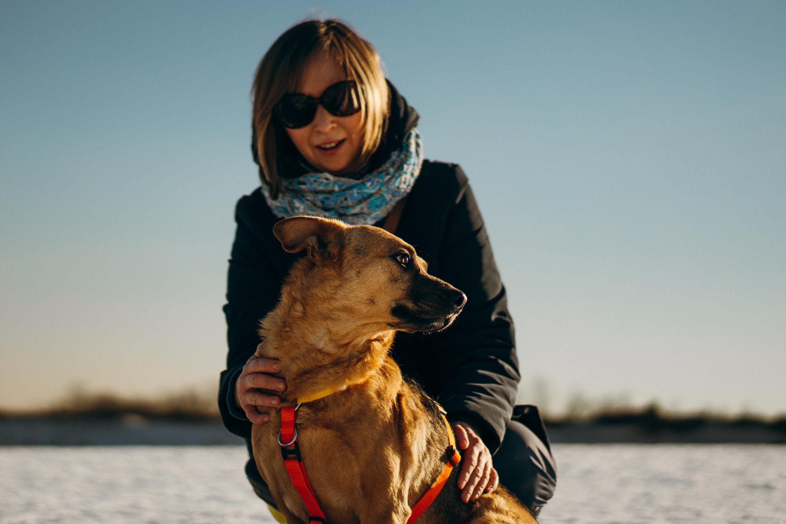 Are they looking for or have found a family. Real moments between people and their dogs