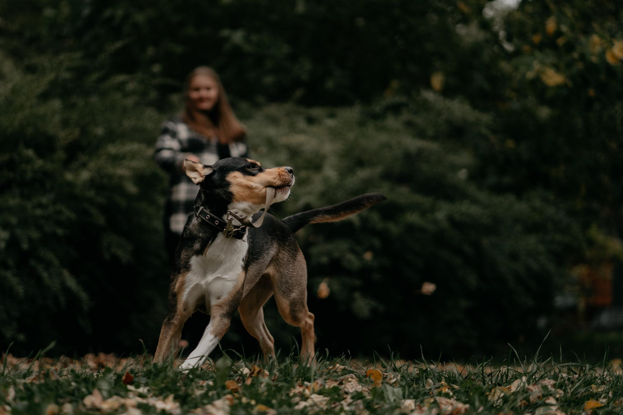 Elena and Molli. Real moments between people and their dogs
