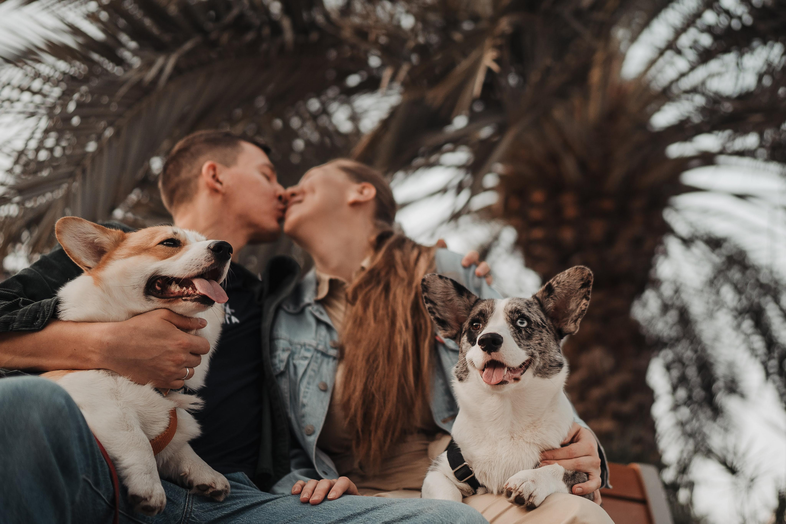 Family photo shoot. Real moments between people and their dogs