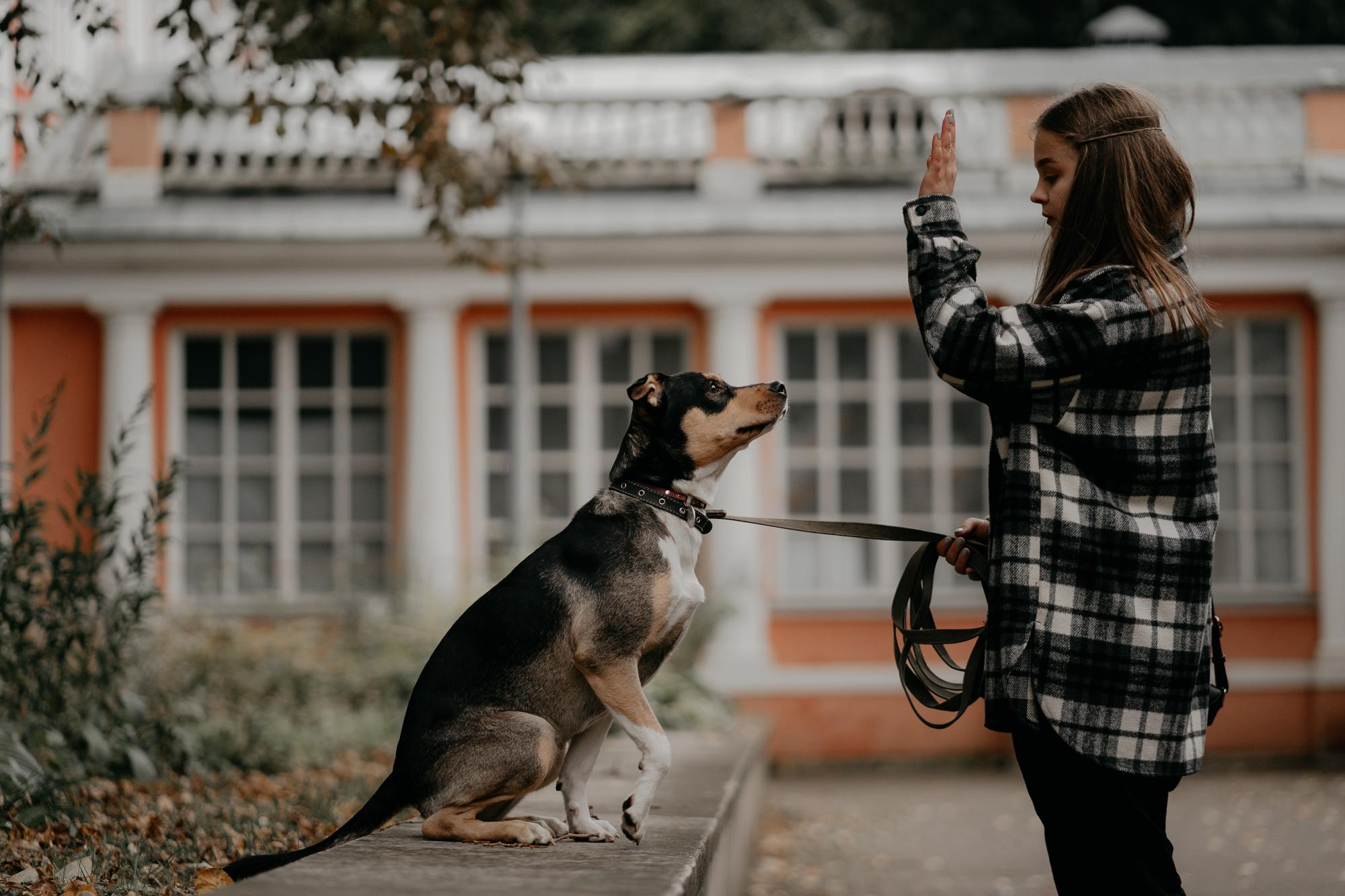 Elena and Molli. Real moments between people and their dogs