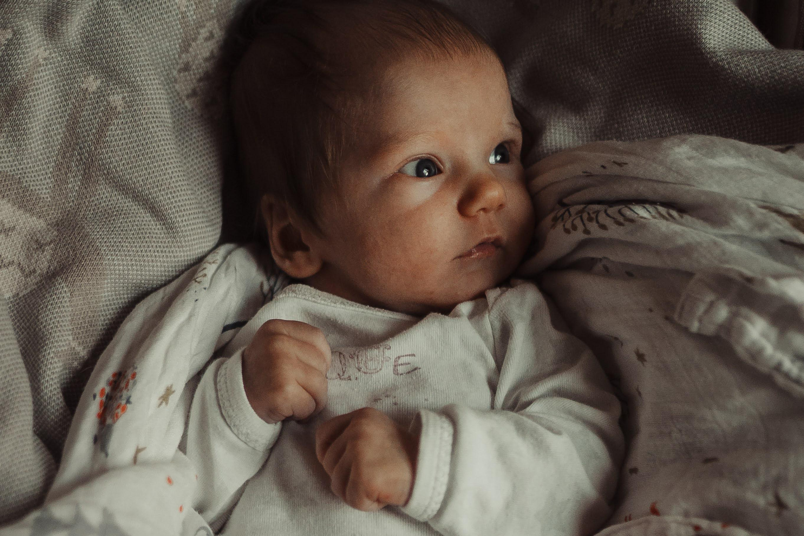 Family photo shoot. Real moments between people and their dogs