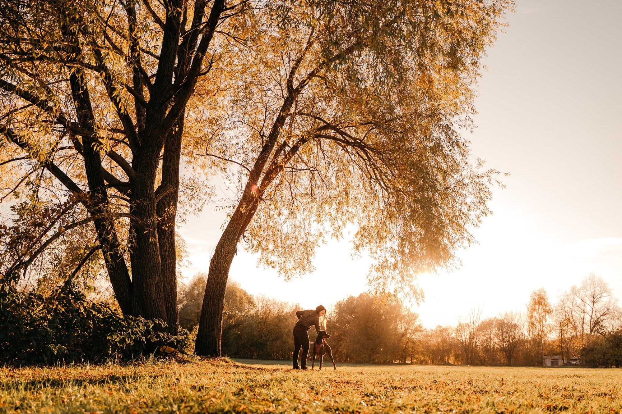 Are they looking for or have found a family. Real moments between people and their dogs