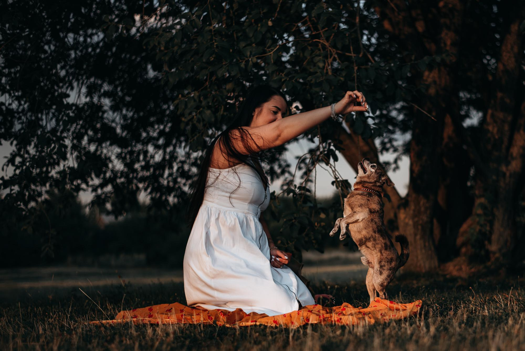 Elena and Vegas. Real moments between people and their dogs