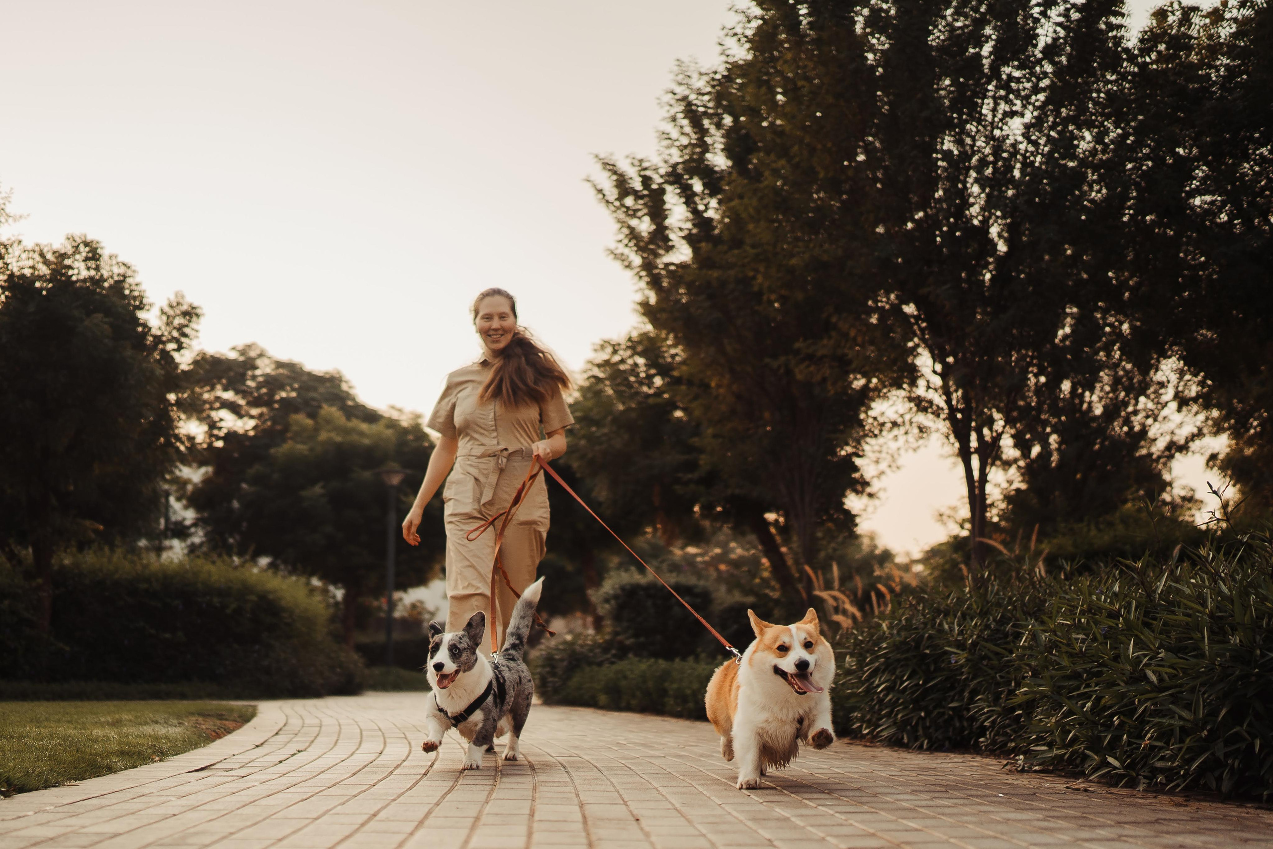 Family photo shoot. Real moments between people and their dogs