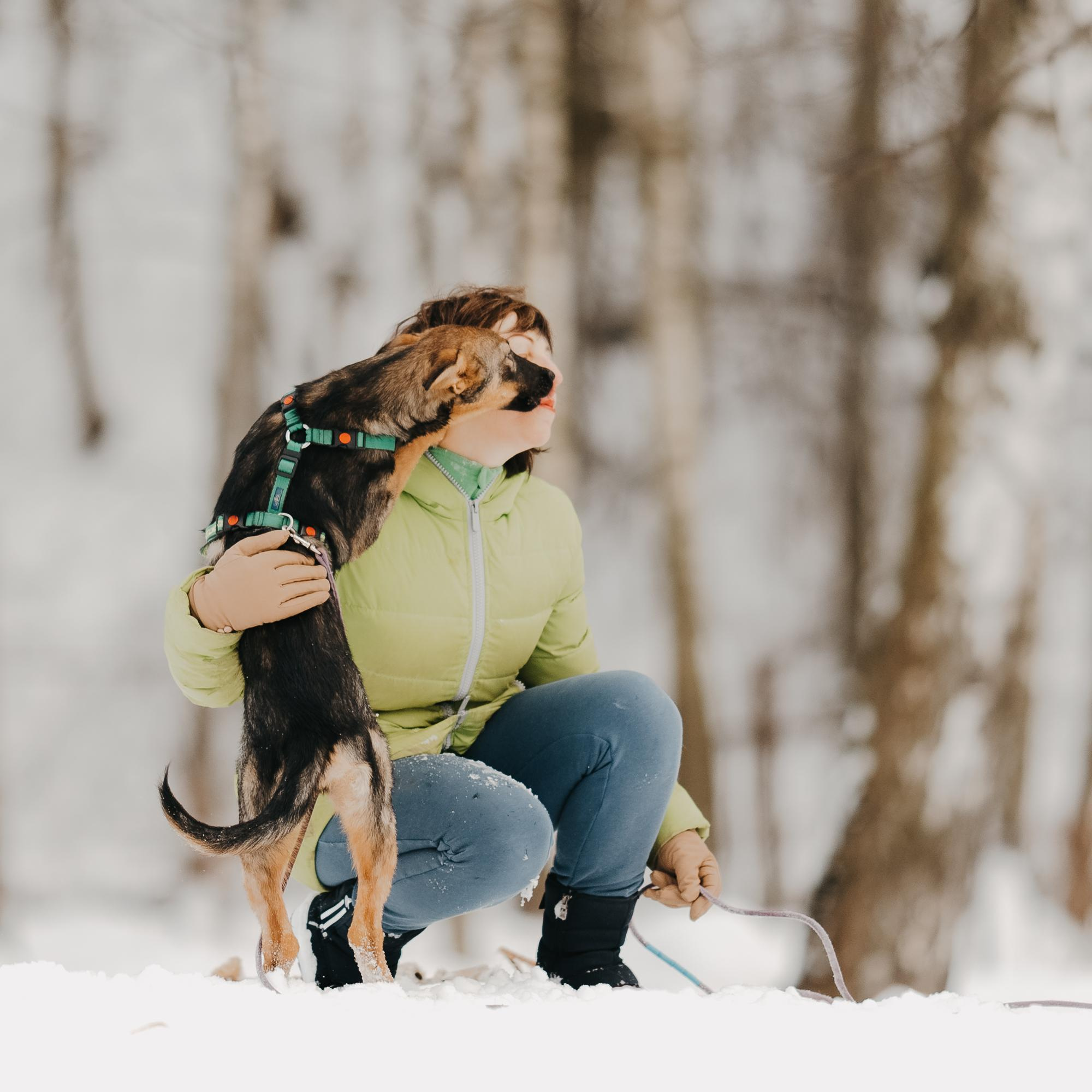 Are they looking for or have found a family. Real moments between people and their dogs