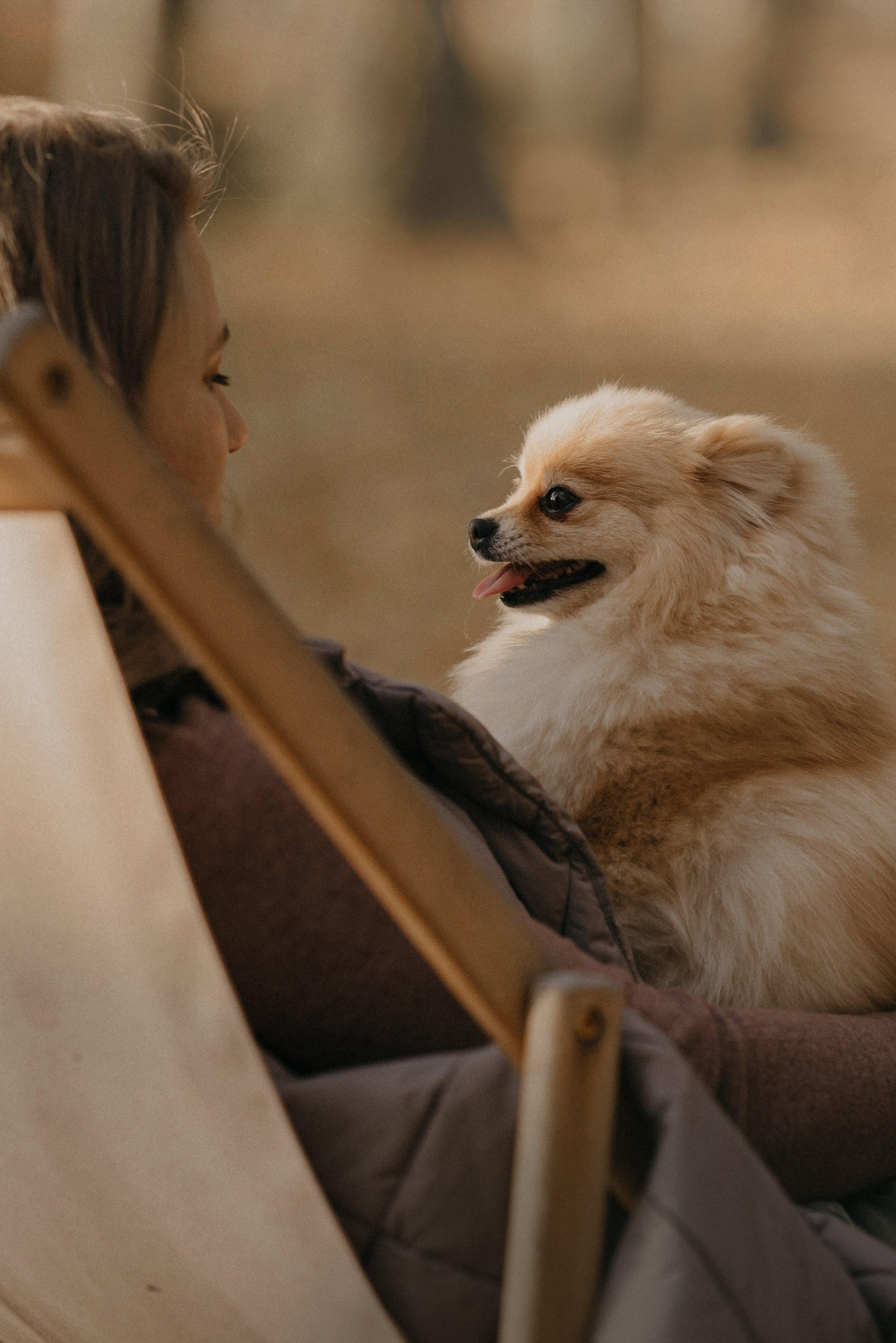 Anastasia and Vesta. Real moments between people and their dogs