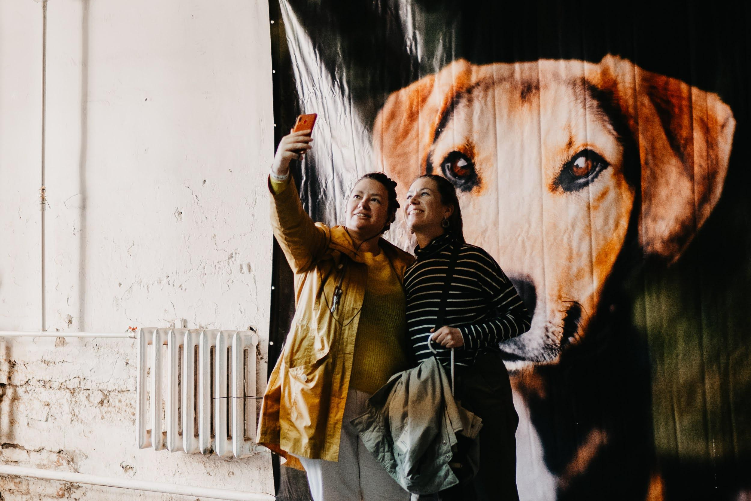 Shelter dogs. Real moments between people and their dogs