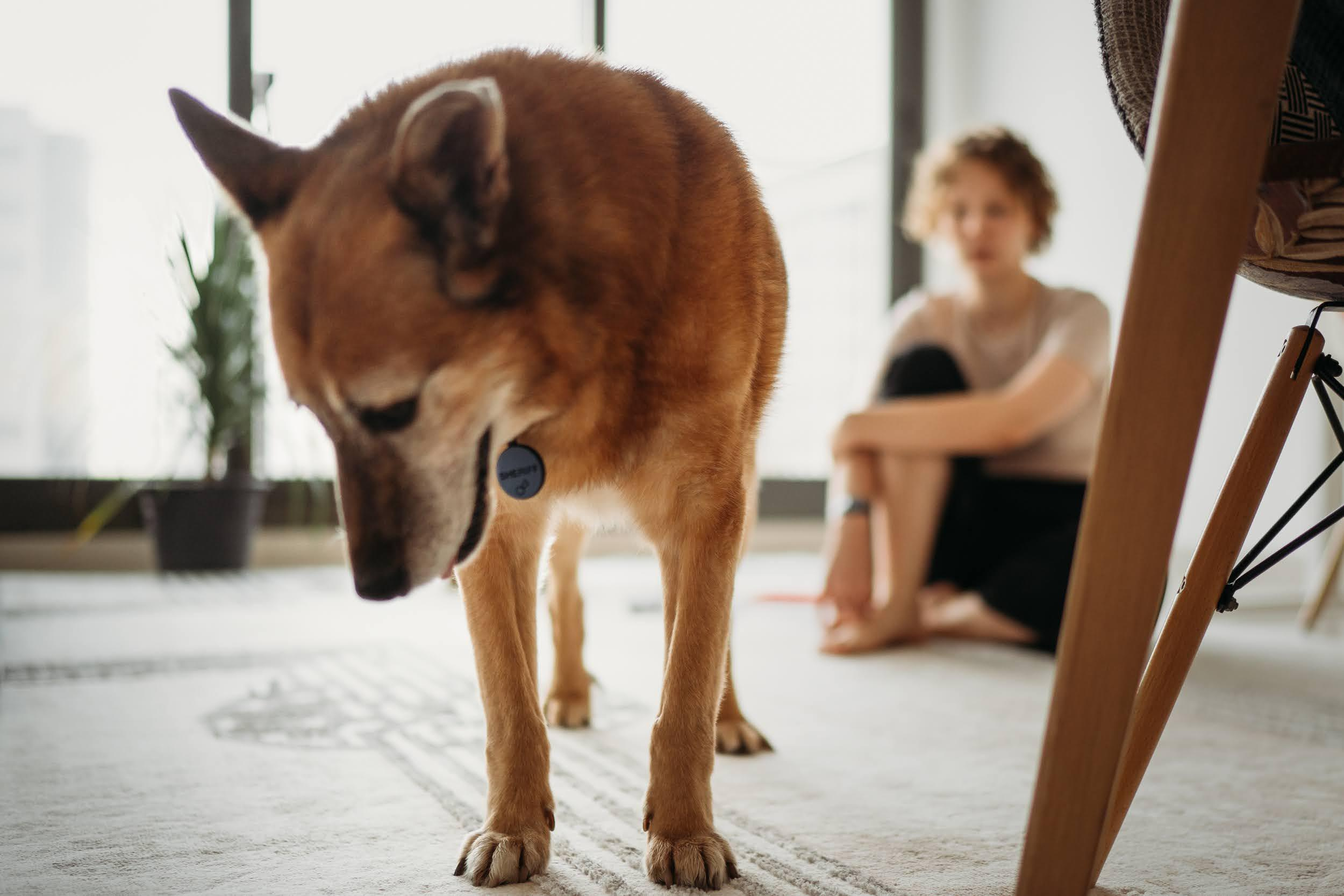 Violet and Hvostik. Real moments between people and their dogs