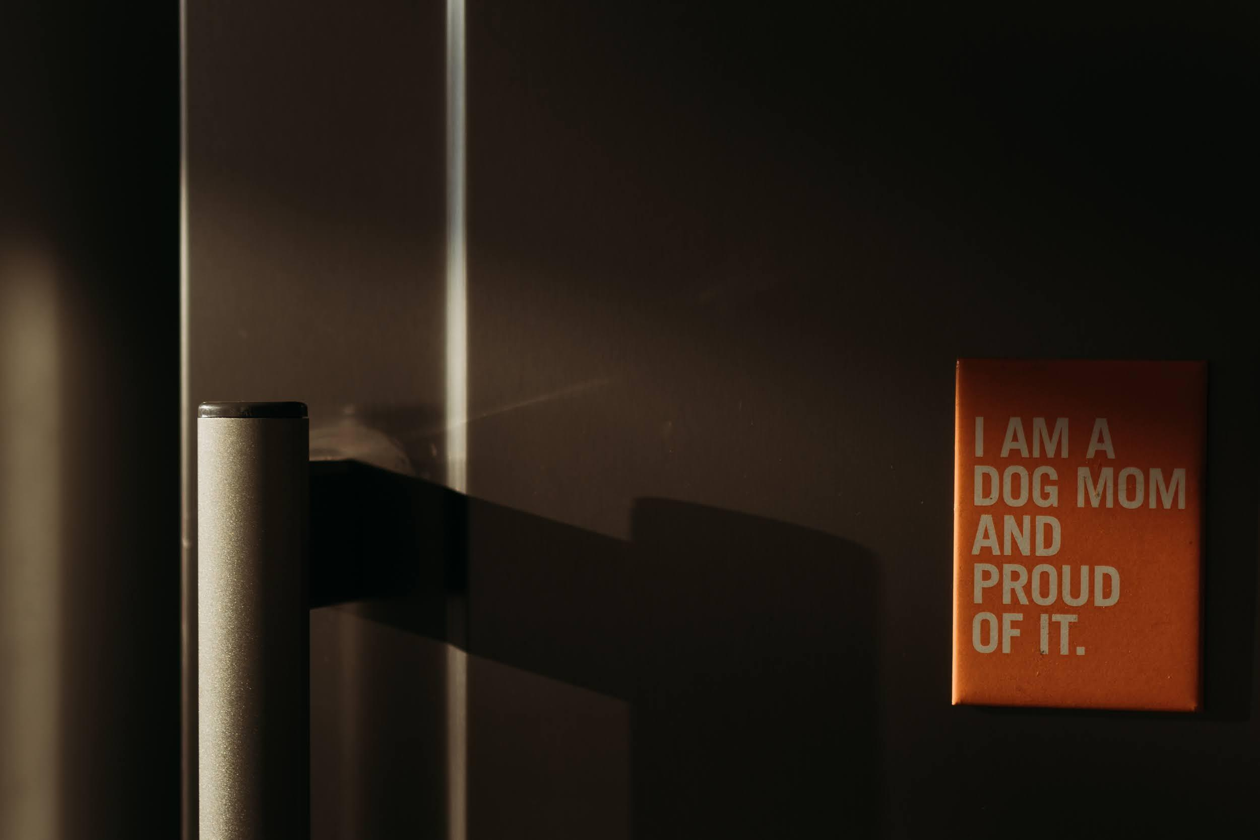 Violet and Hvostik. Real moments between people and their dogs