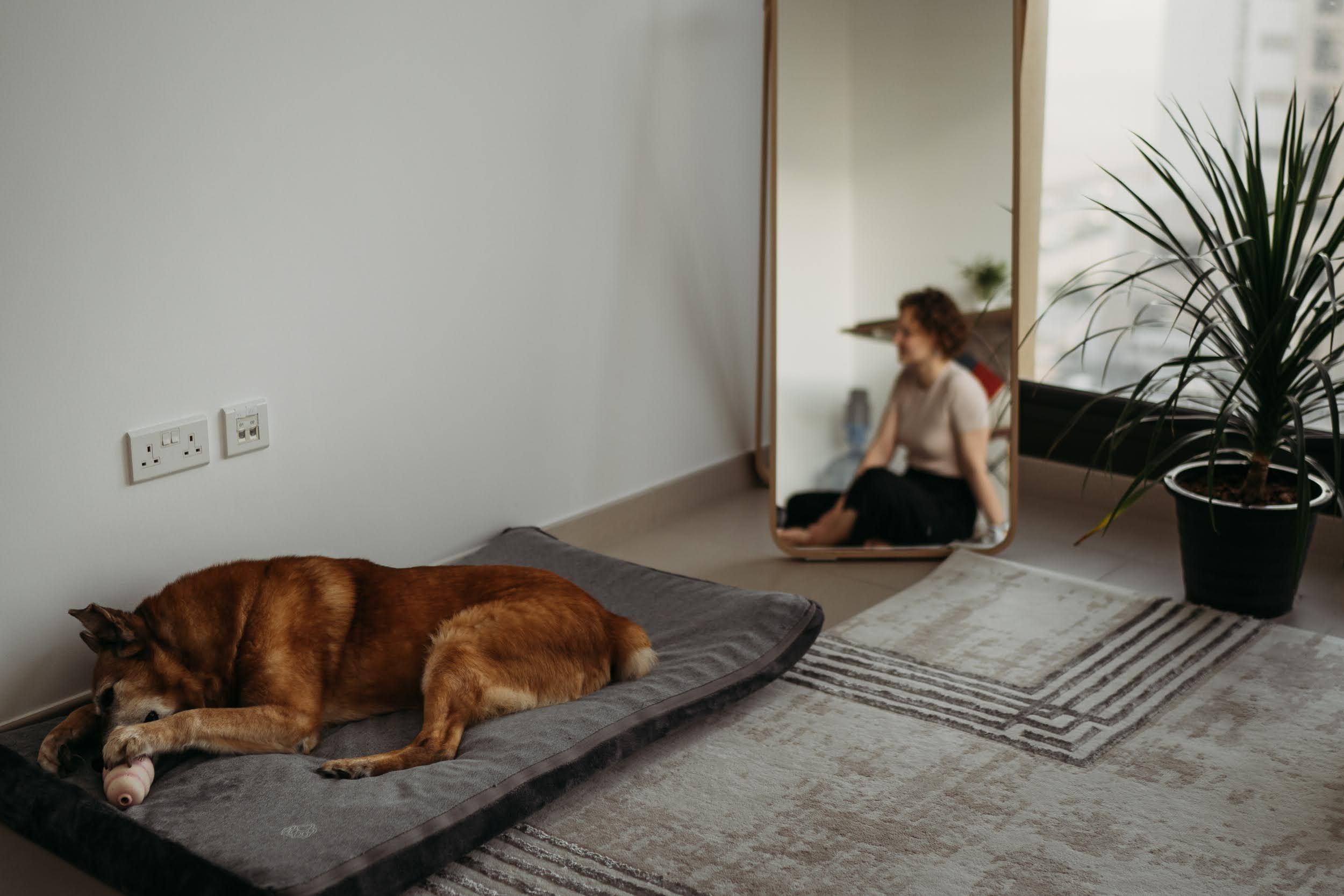 Violet and Hvostik. Real moments between people and their dogs