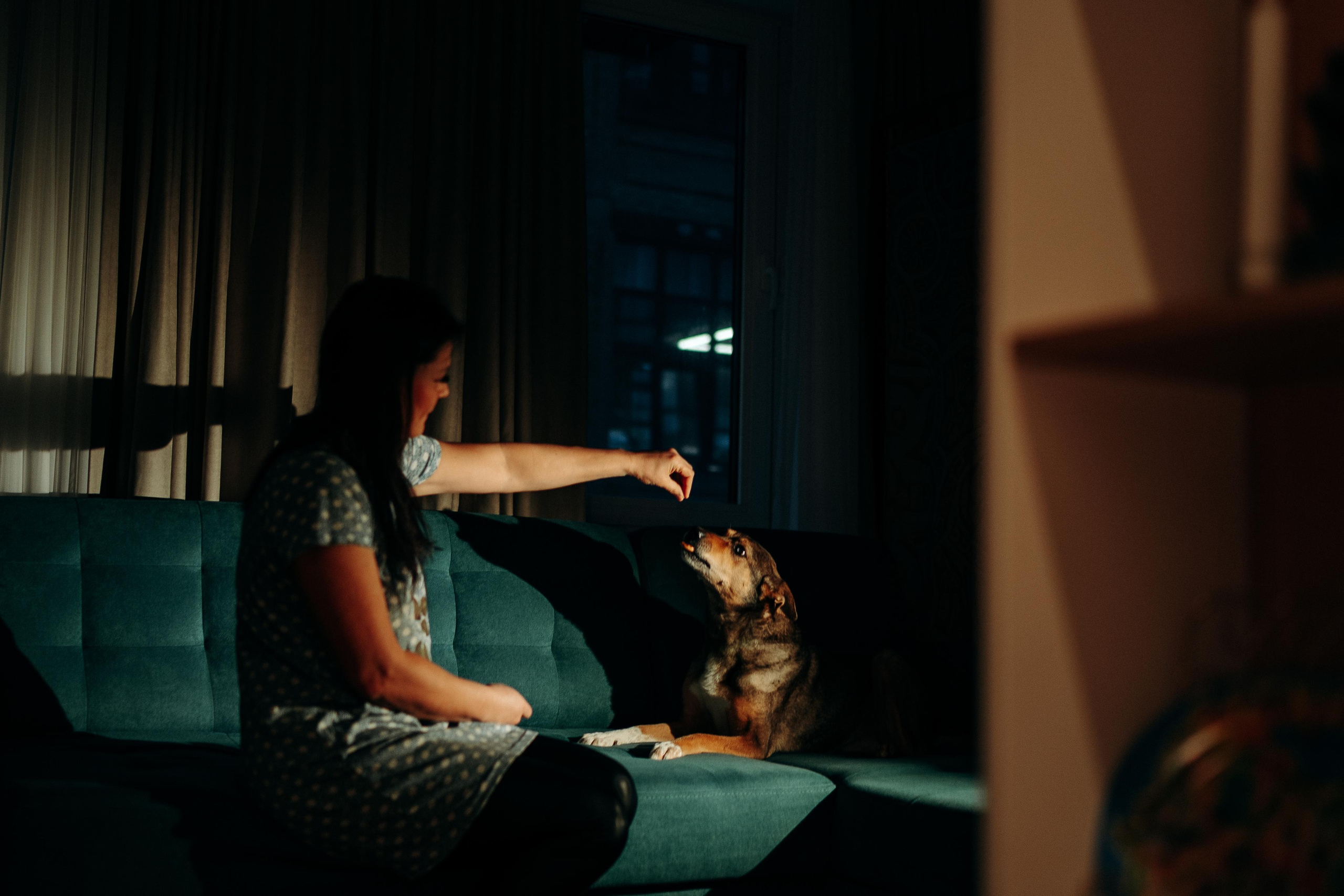 Are they looking for or have found a family. Real moments between people and their dogs