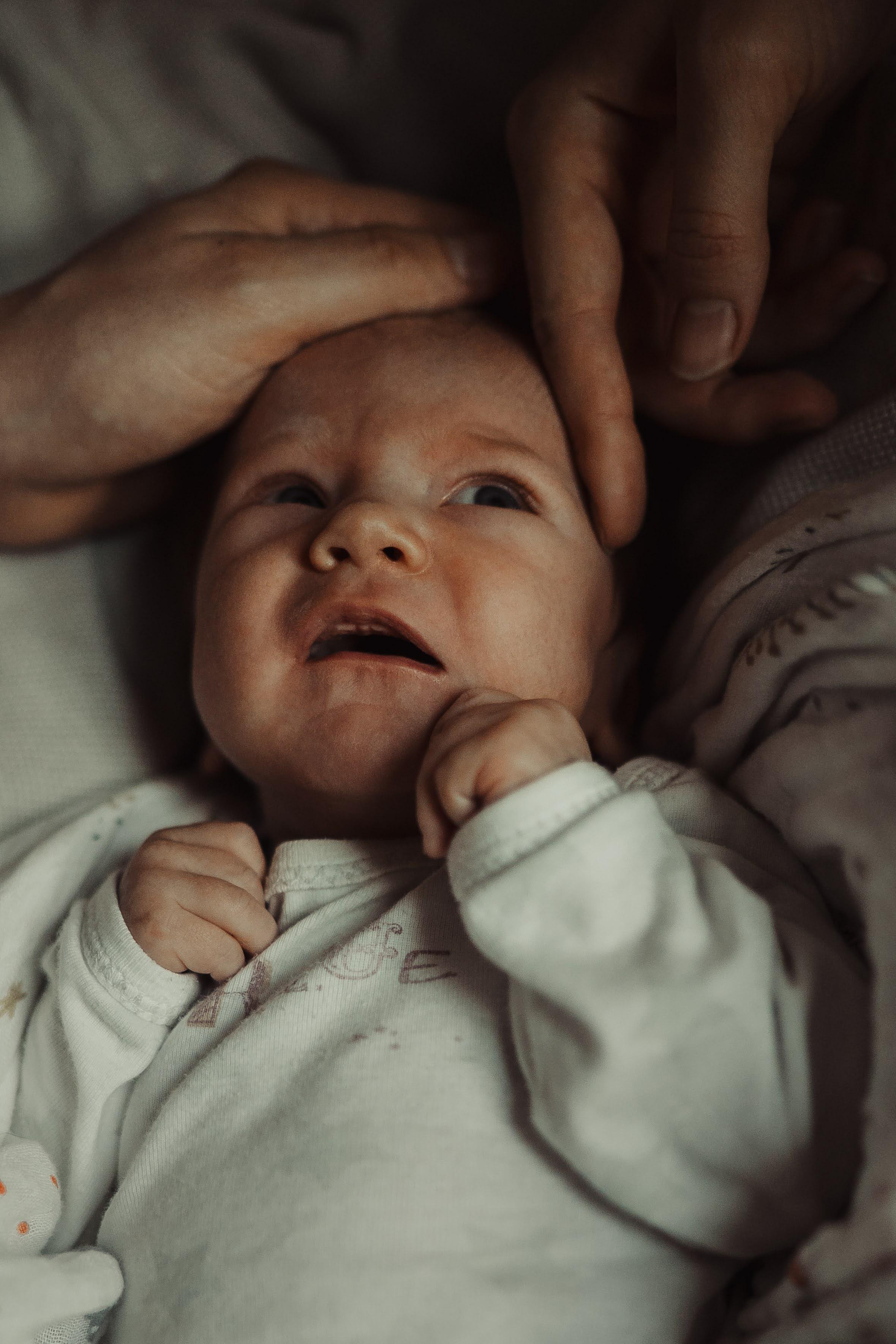 Family photo shoot. Real moments between people and their dogs