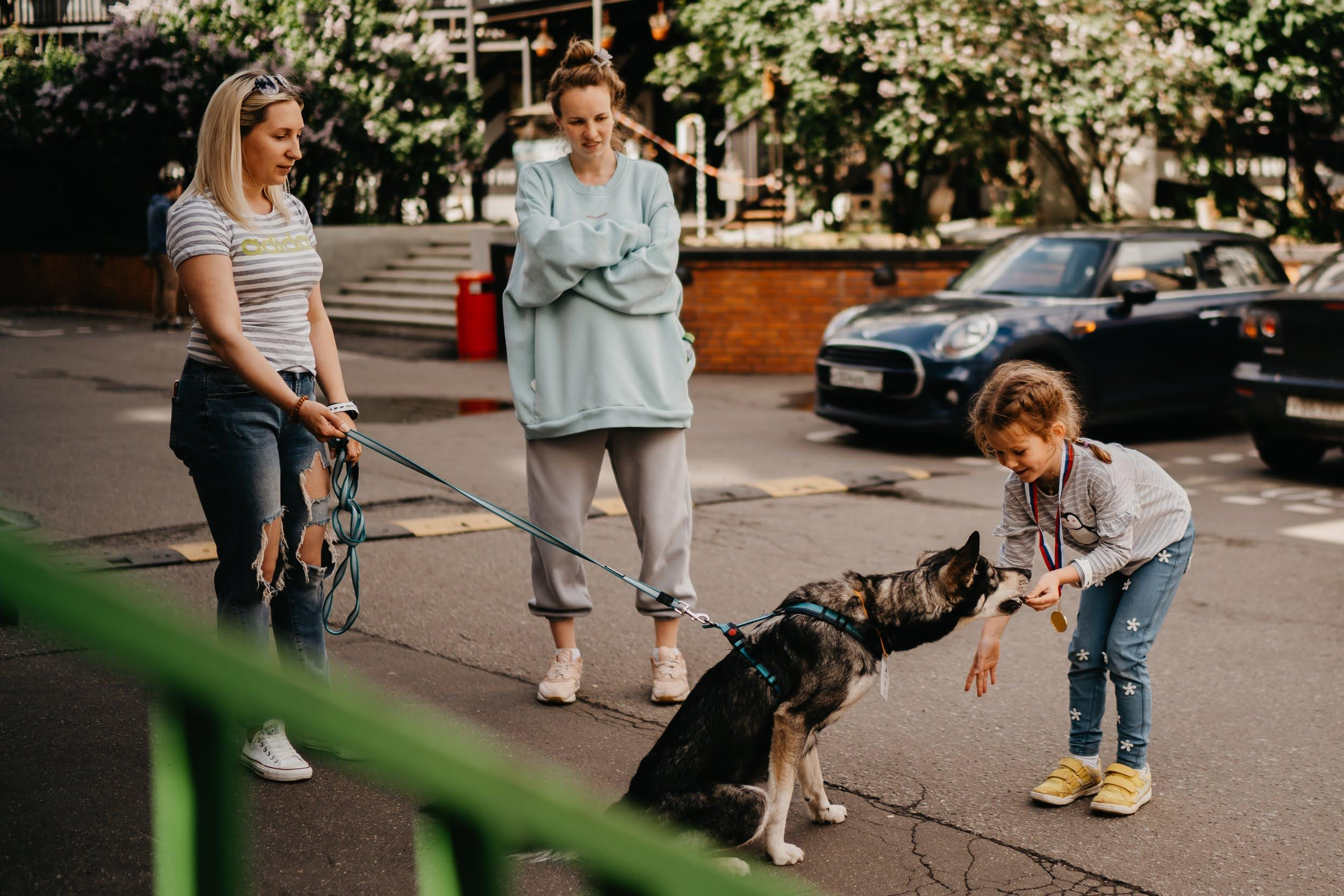 Shelter dogs. Real moments between people and their dogs