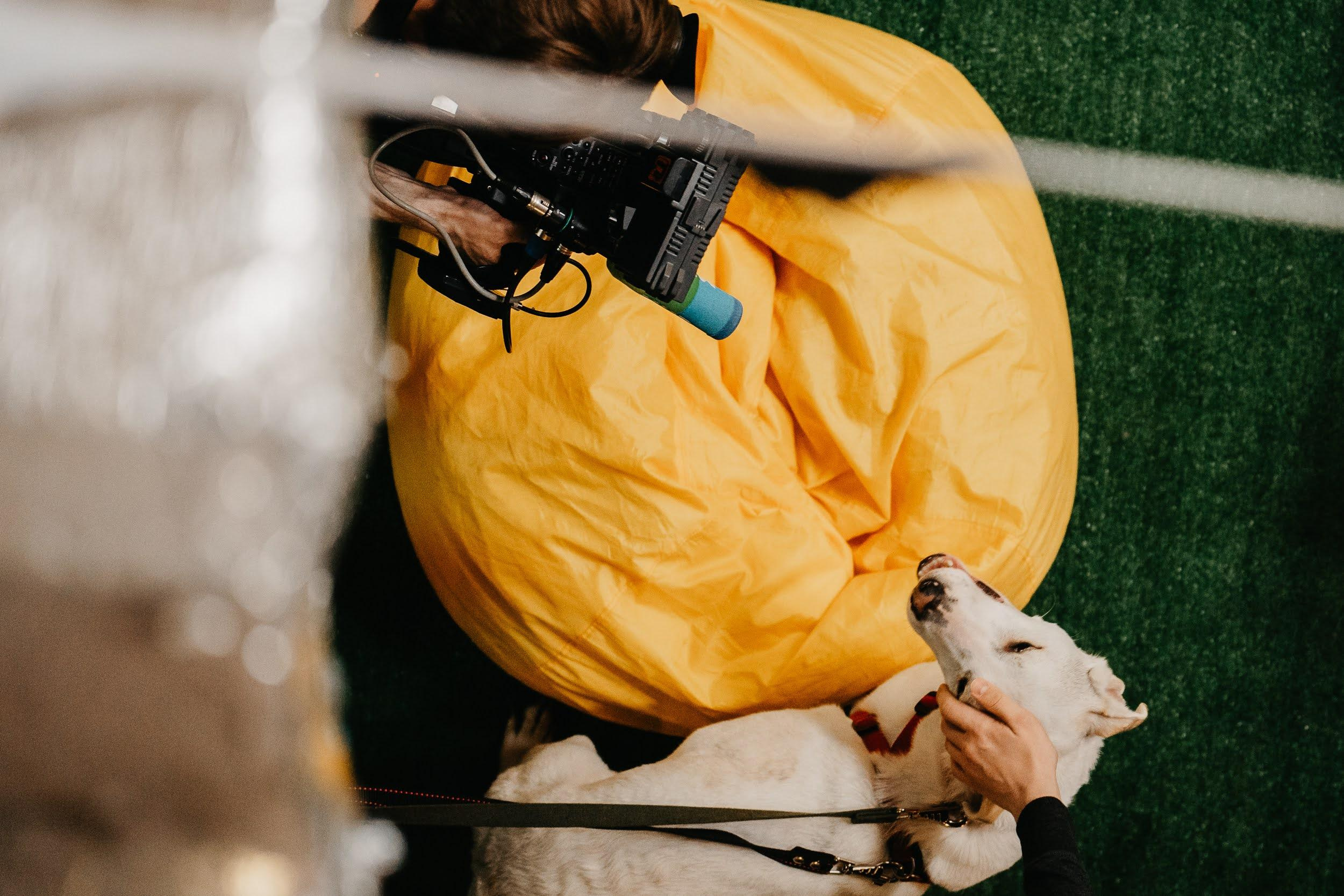 Shelter dogs. Real moments between people and their dogs