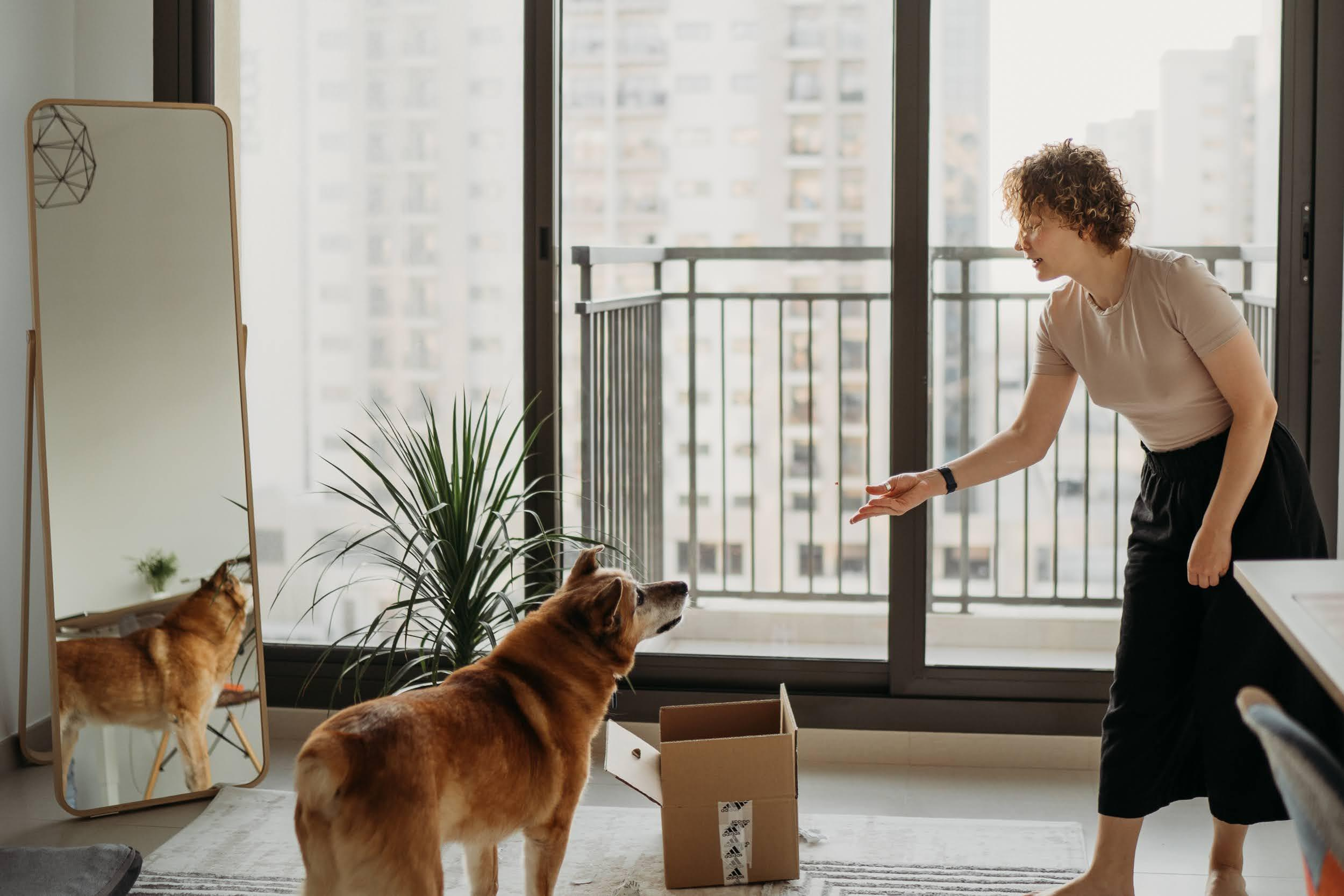 Violet and Hvostik. Real moments between people and their dogs