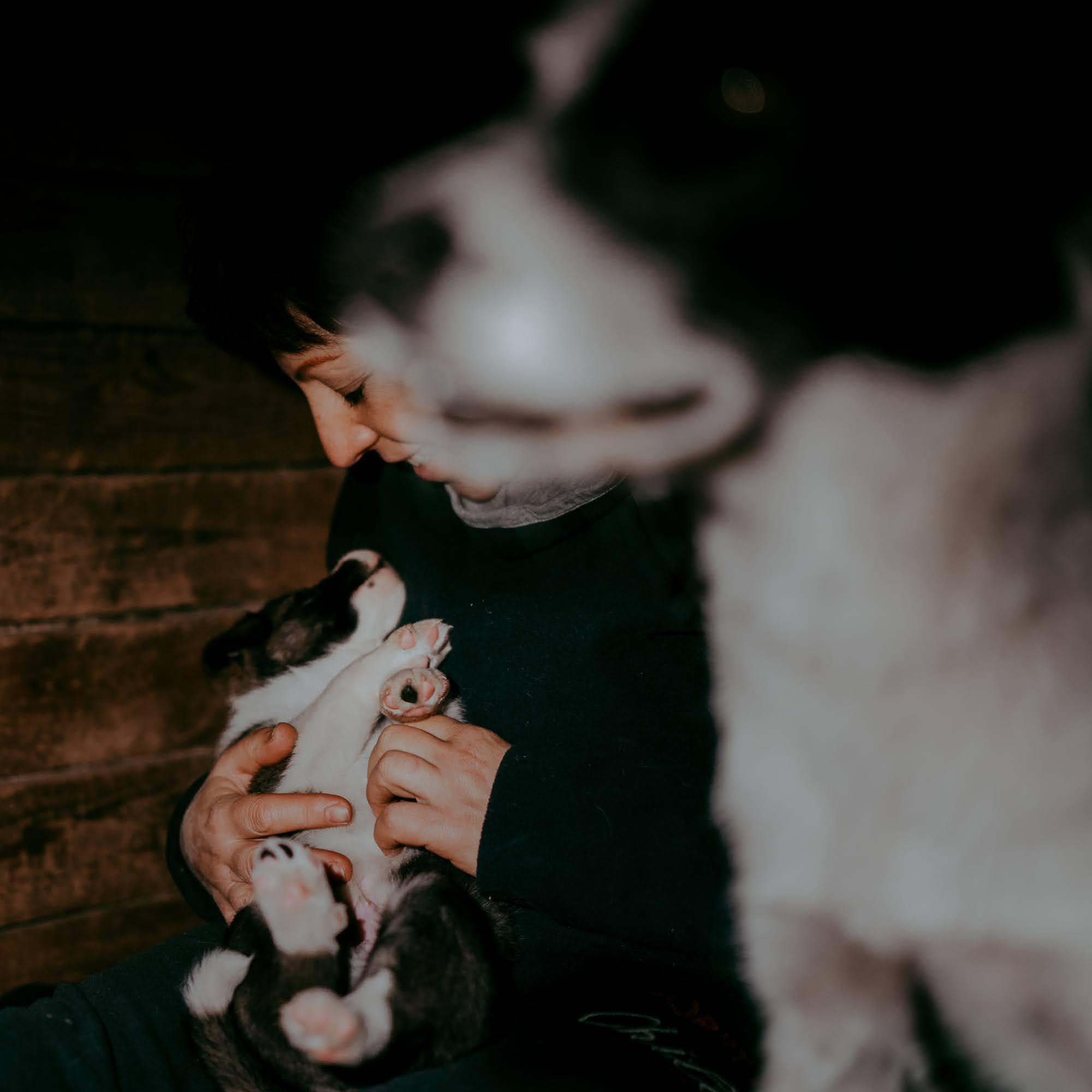 Are they looking for or have found a family. Real moments between people and their dogs