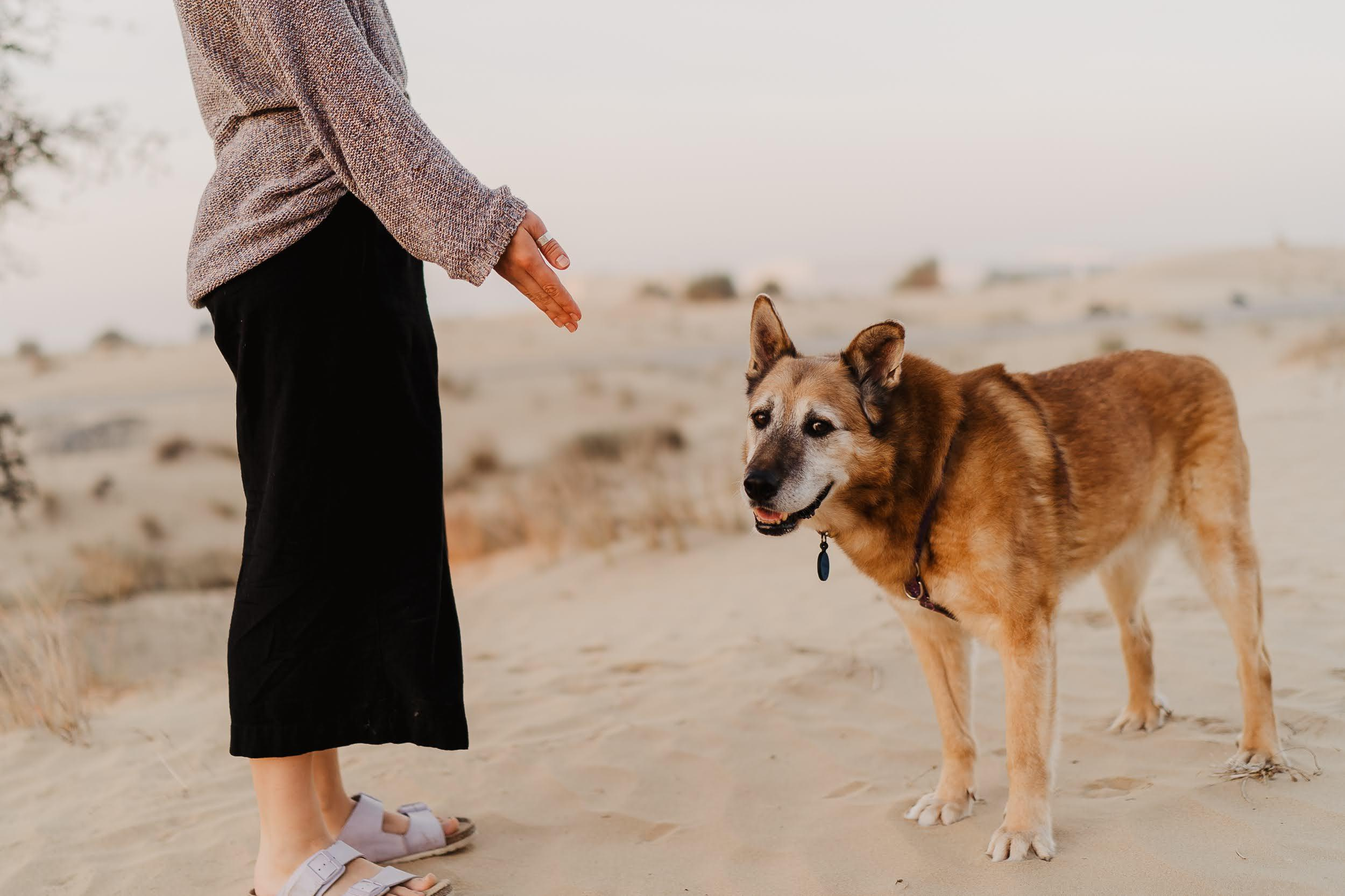 Violet and Hvostik. Real moments between people and their dogs