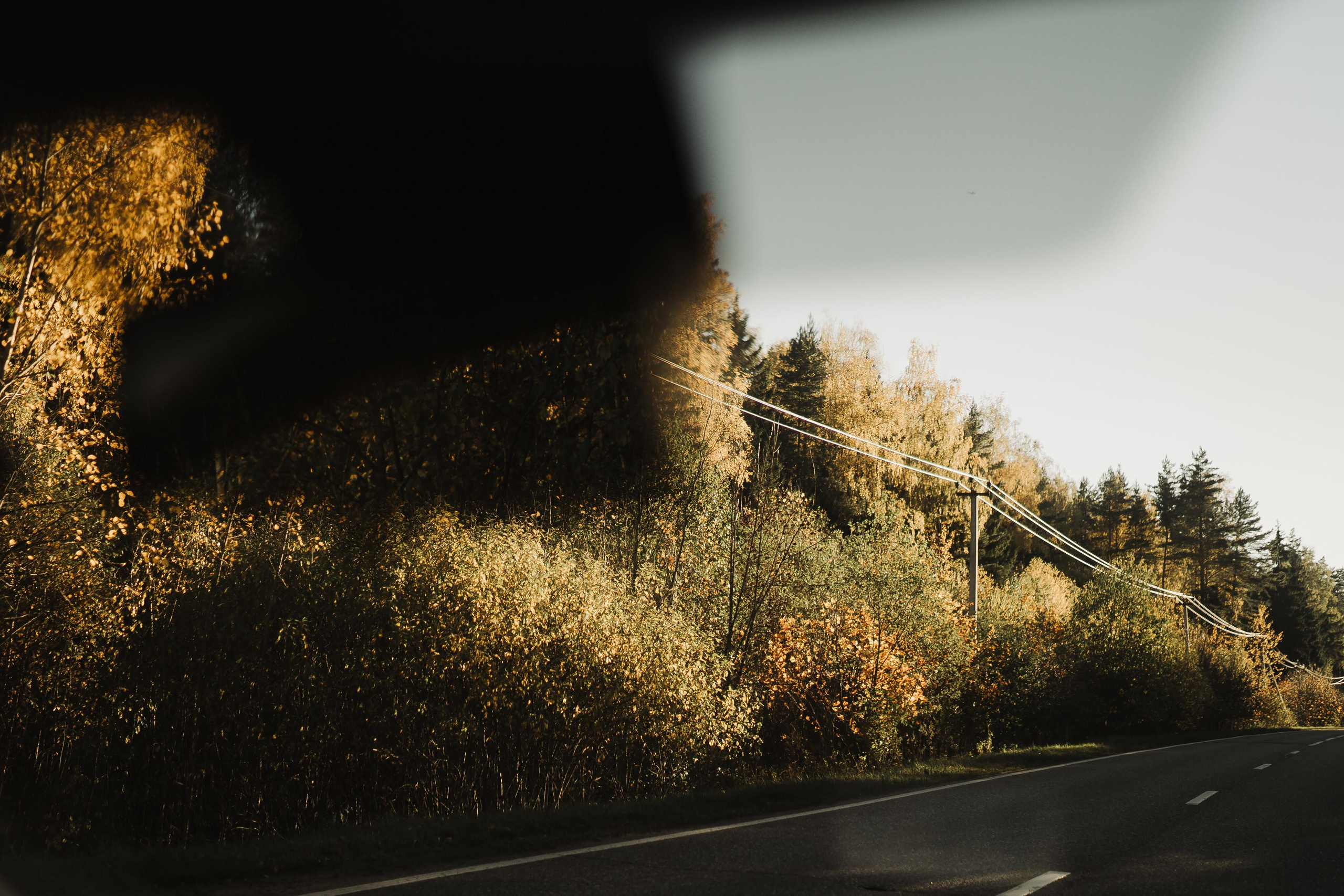 Julia and Marta. Real moments between people and their dogs