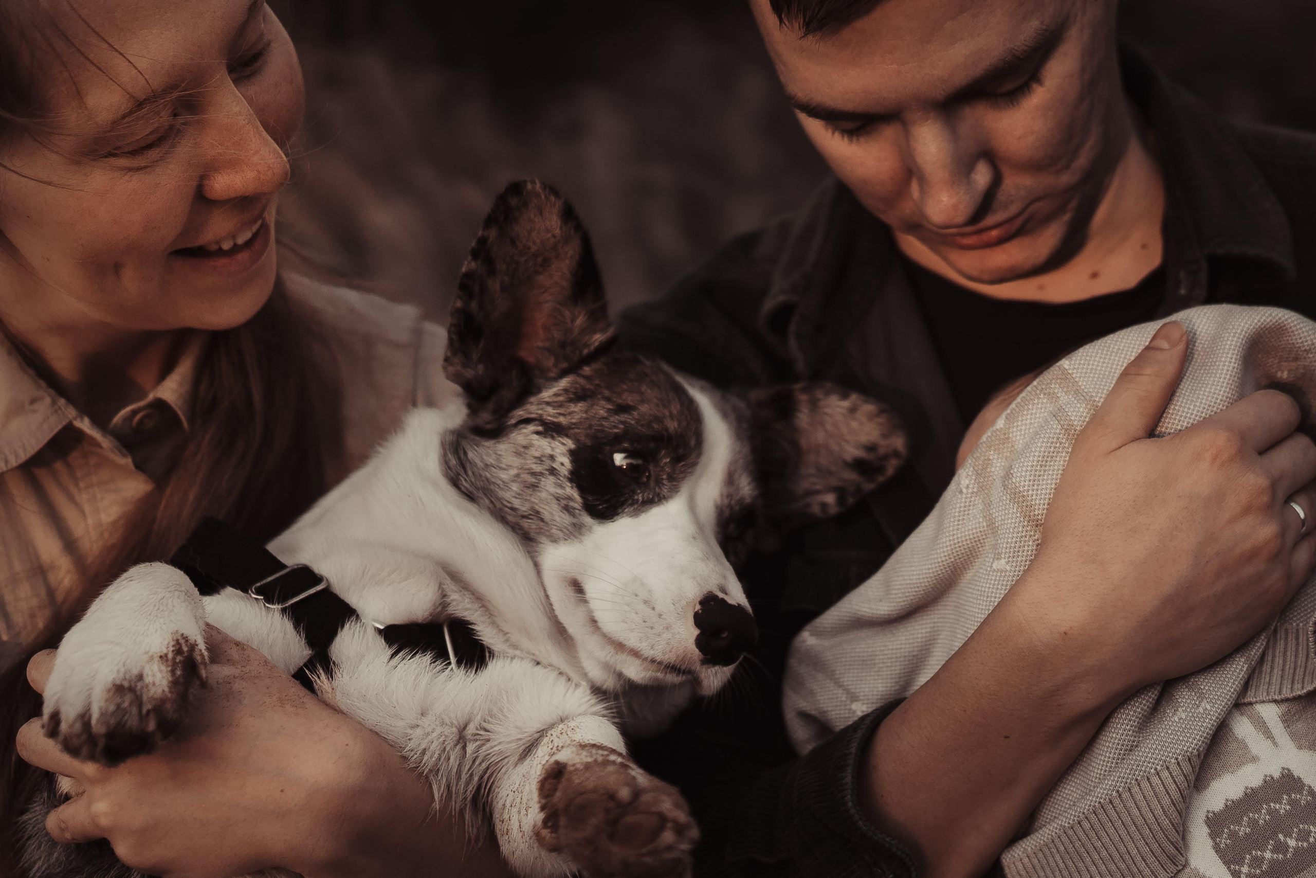 Family photo shoot. Real moments between people and their dogs