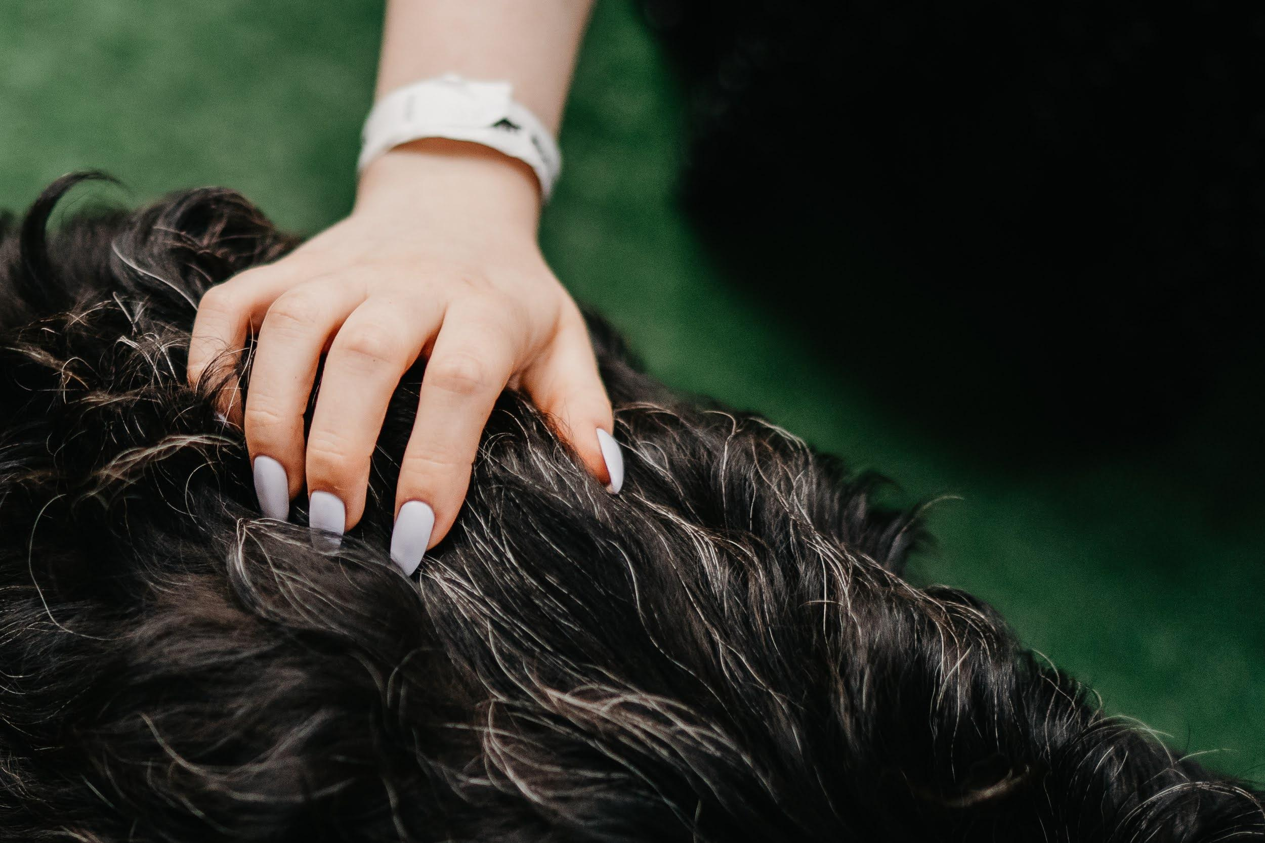 Shelter dogs. Real moments between people and their dogs