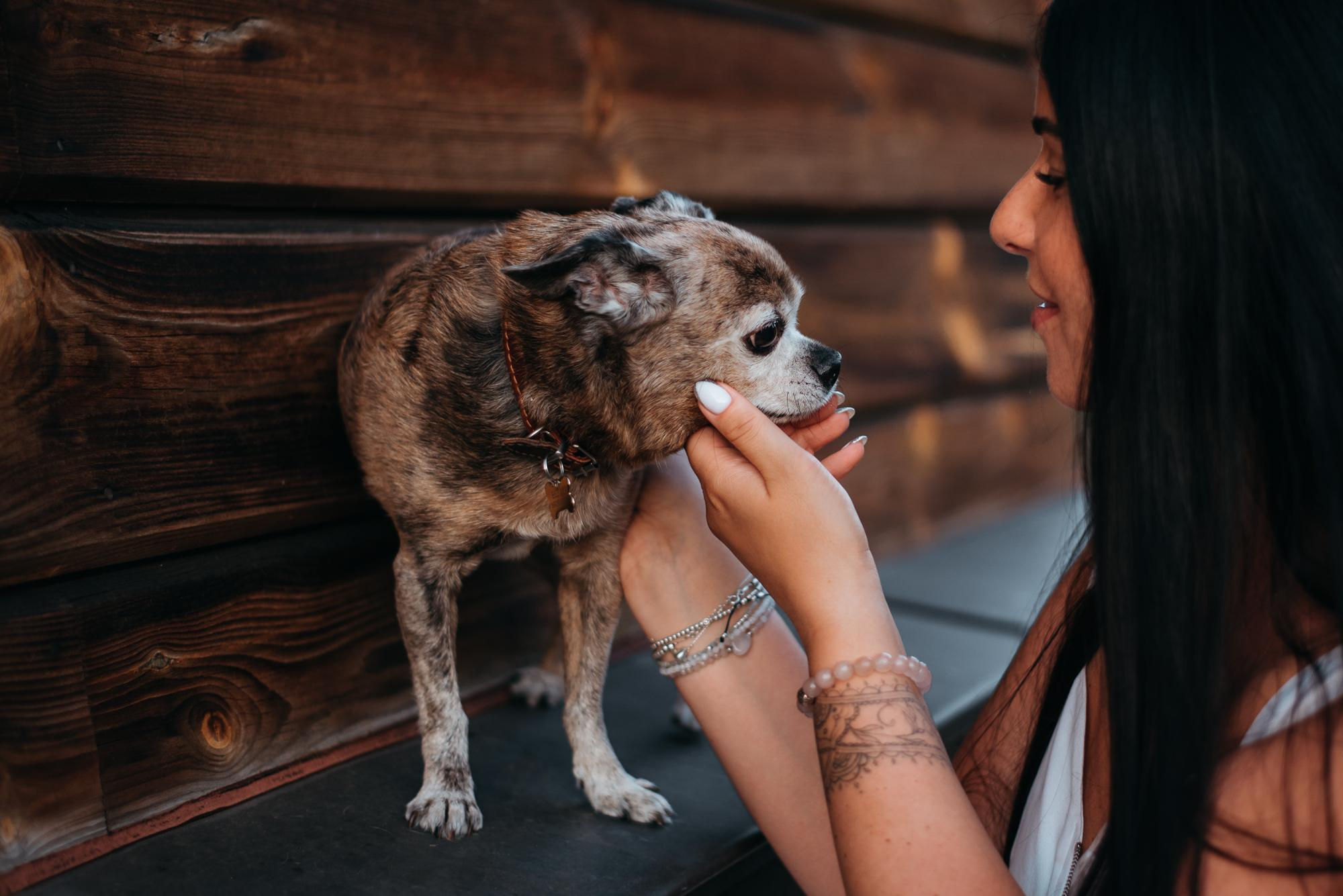 Elena and Vegas. Real moments between people and their dogs