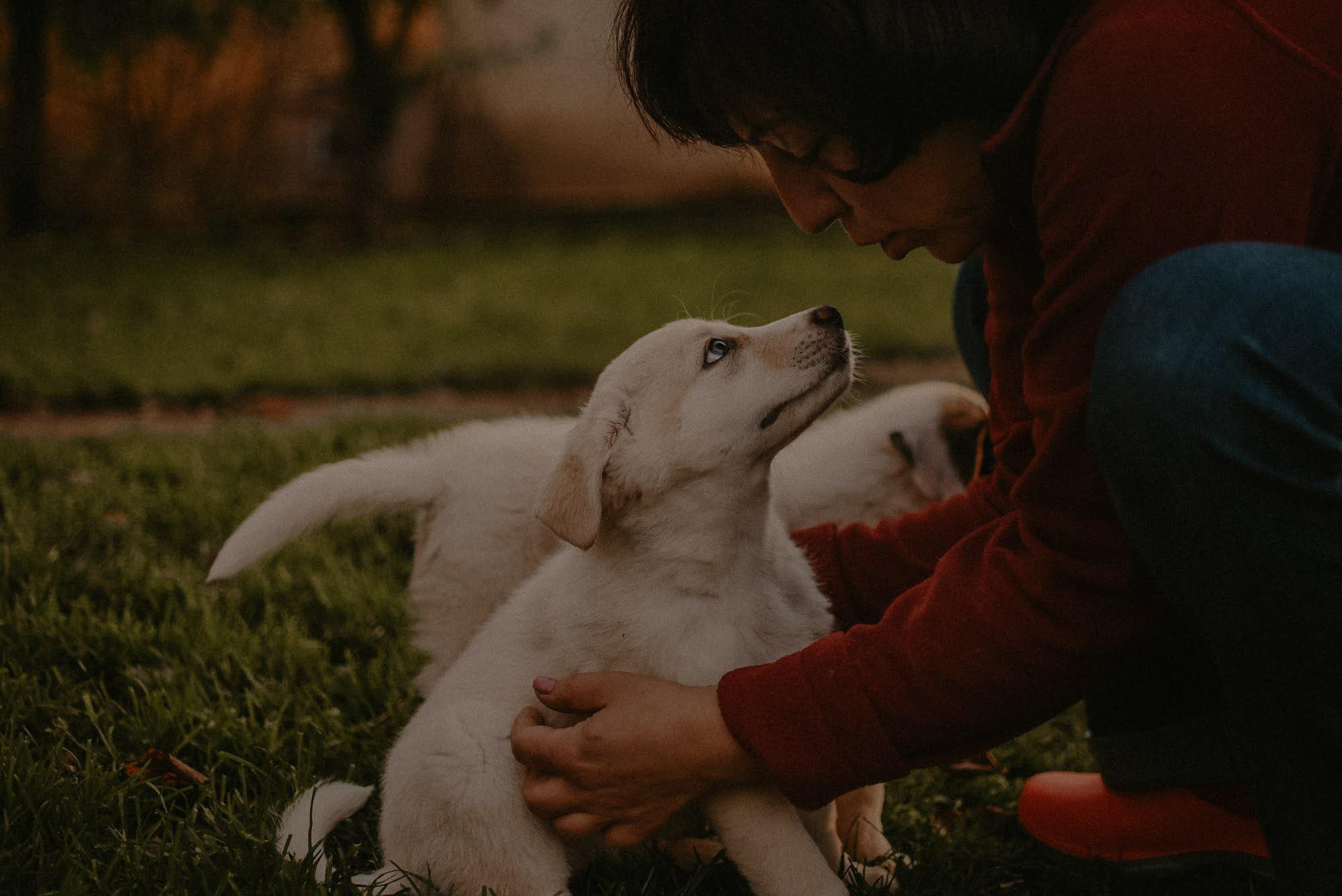 Are they looking for or have found a family. Real moments between people and their dogs