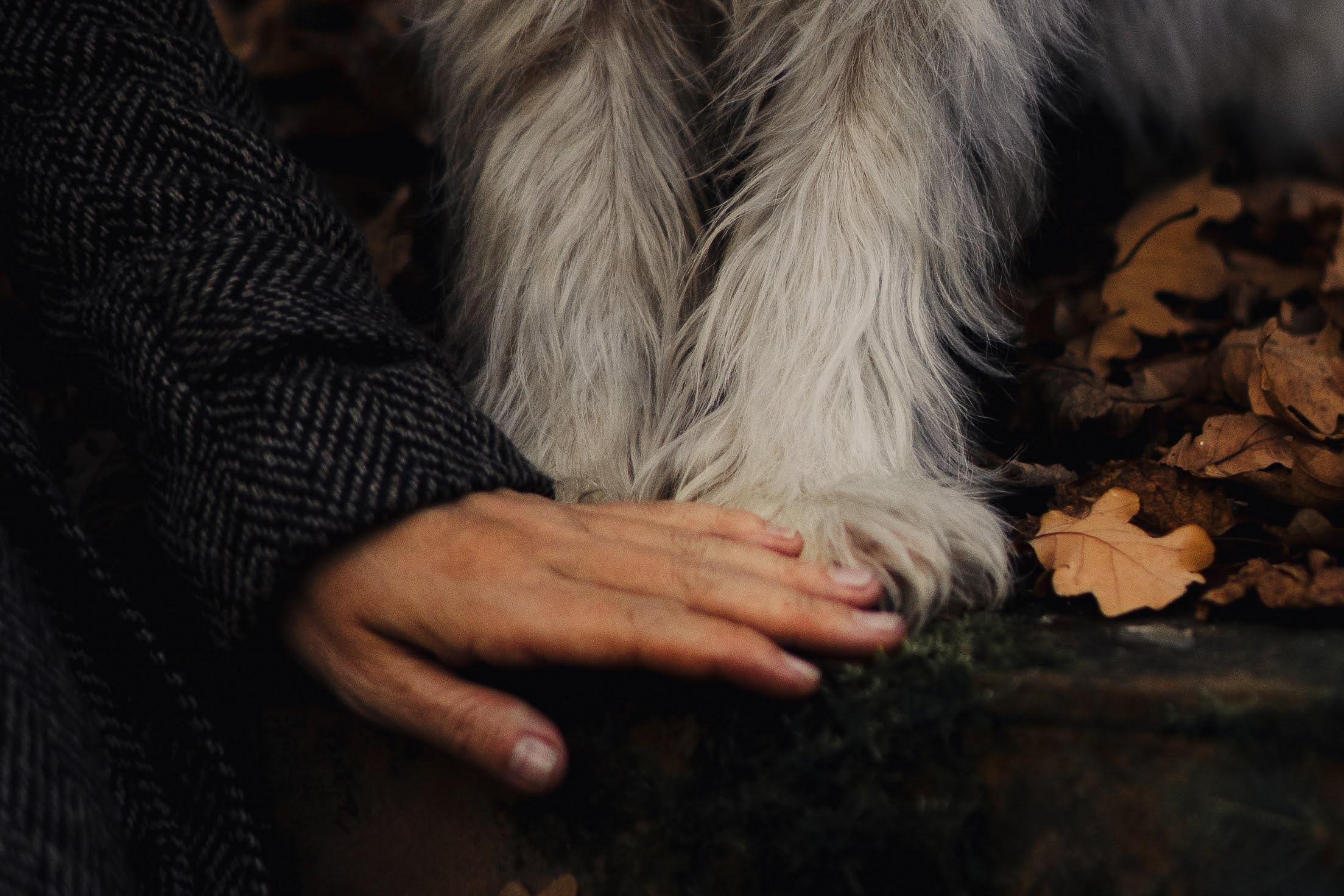 Julia and Marta. Real moments between people and their dogs