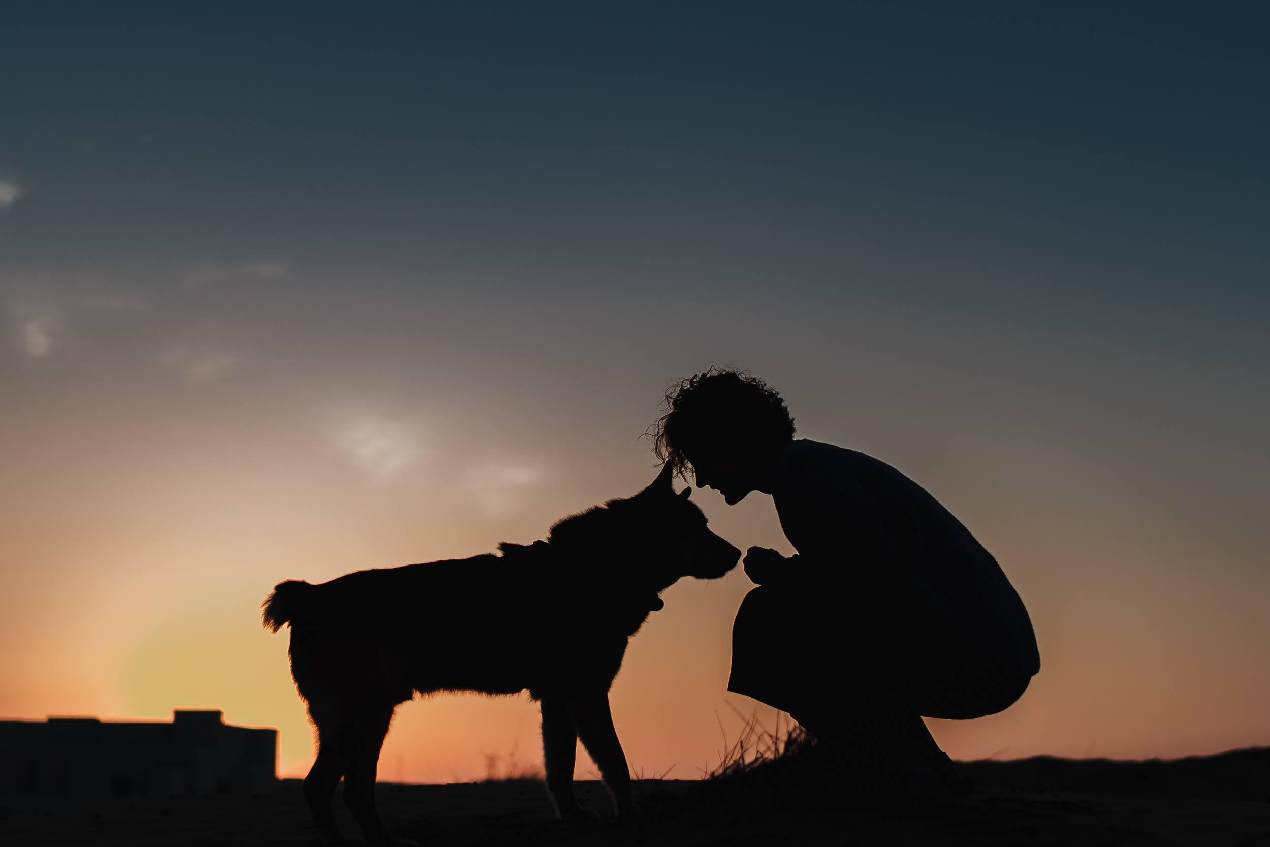 Violet and Hvostik. Real moments between people and their dogs