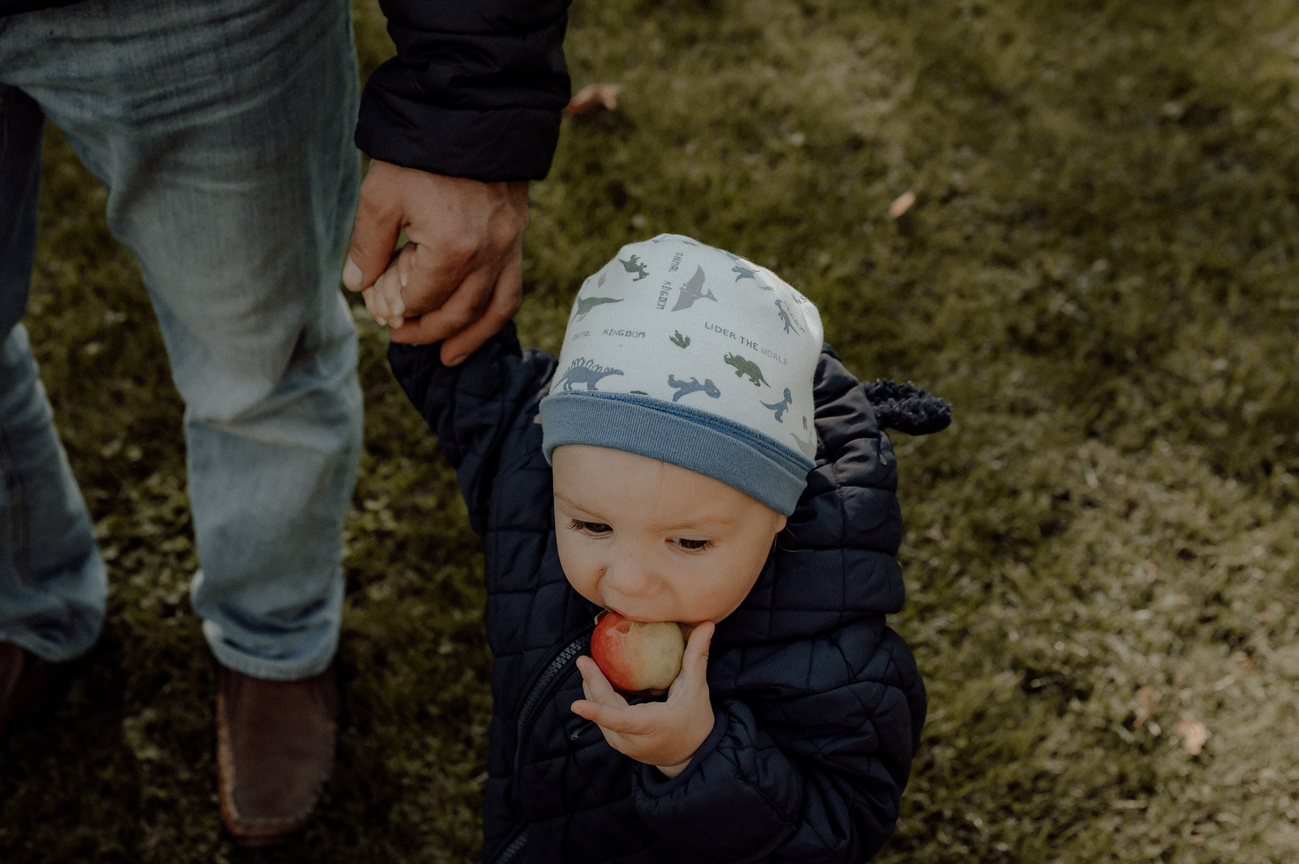 Гоше годик. Семейный фотограф в Новомосковске, Туле и Москве Ольга Бубликова