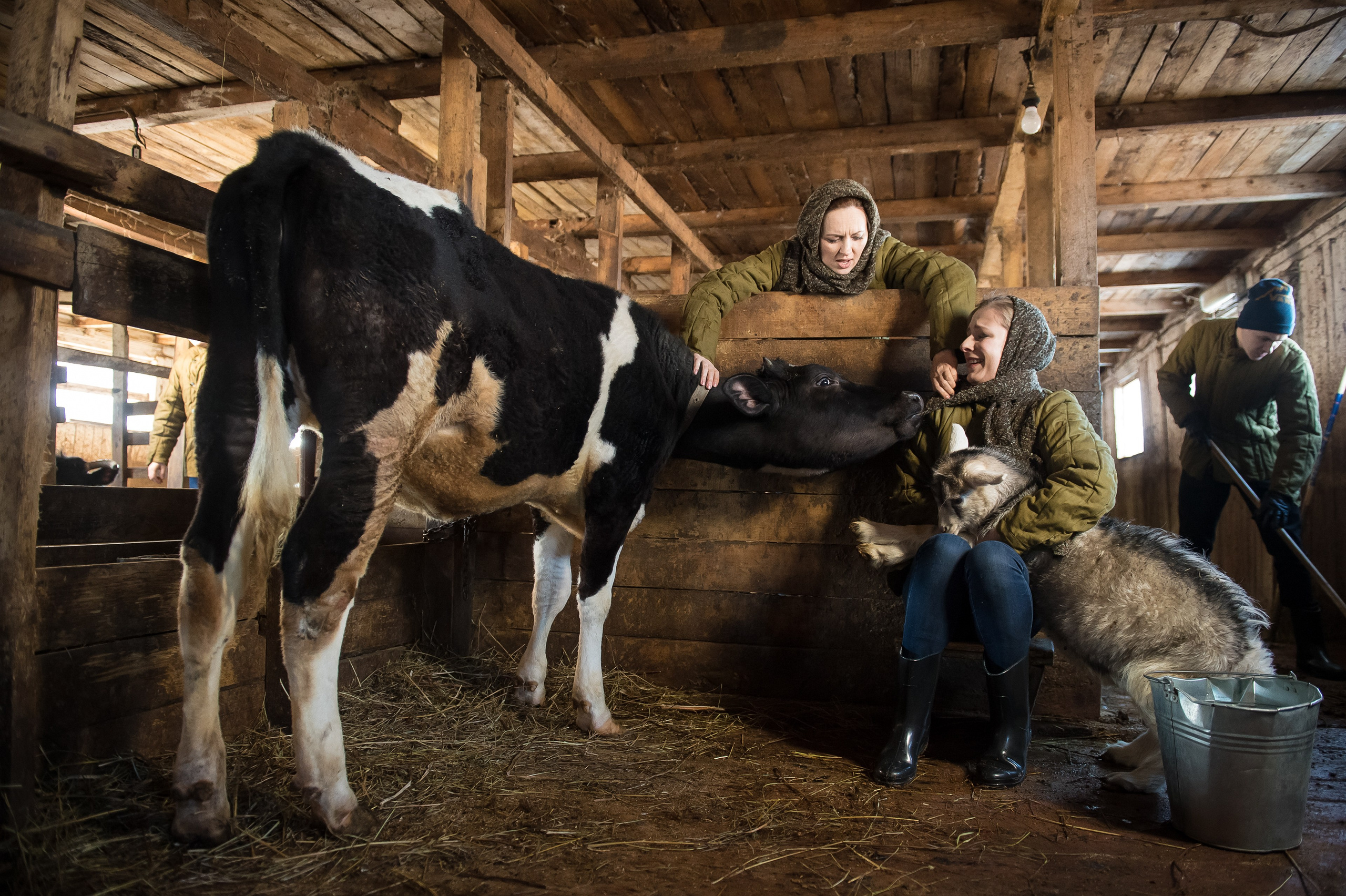Jana Nedzvetskaya. Показ в коровнике. 2016. Дима Бабушкин. Фотограф. Подиум. Репортаж. Творчество. Дорого