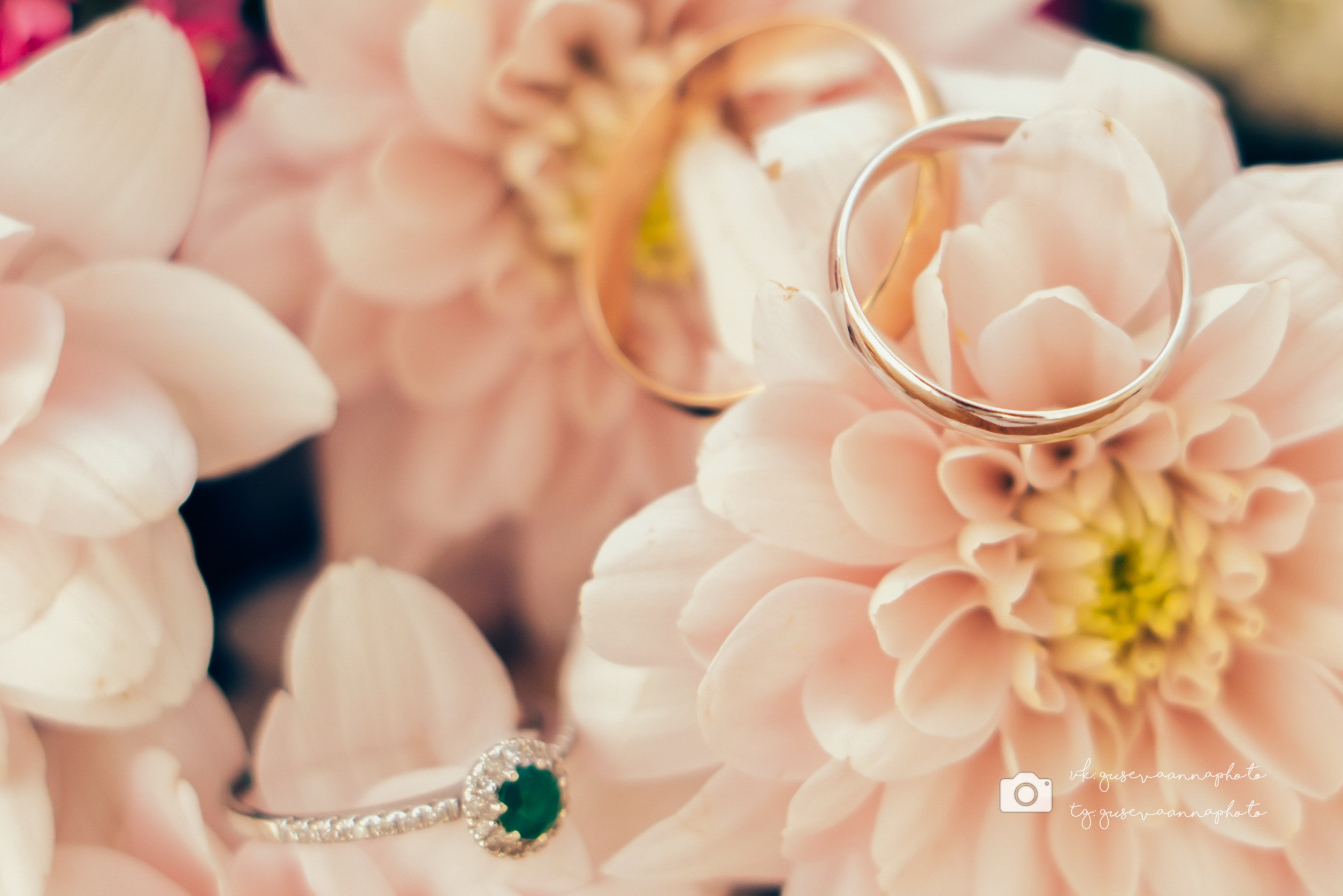 Свадебные съемки. Фотограф в Старом Осколе Гусева Анна