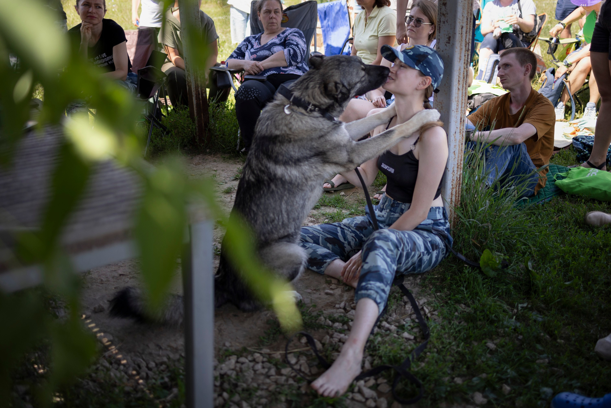 Семинар по поиску ВВ. Фотограф анималист, семейный фотограф, фотограф собак Комратова Мария. г. Москва