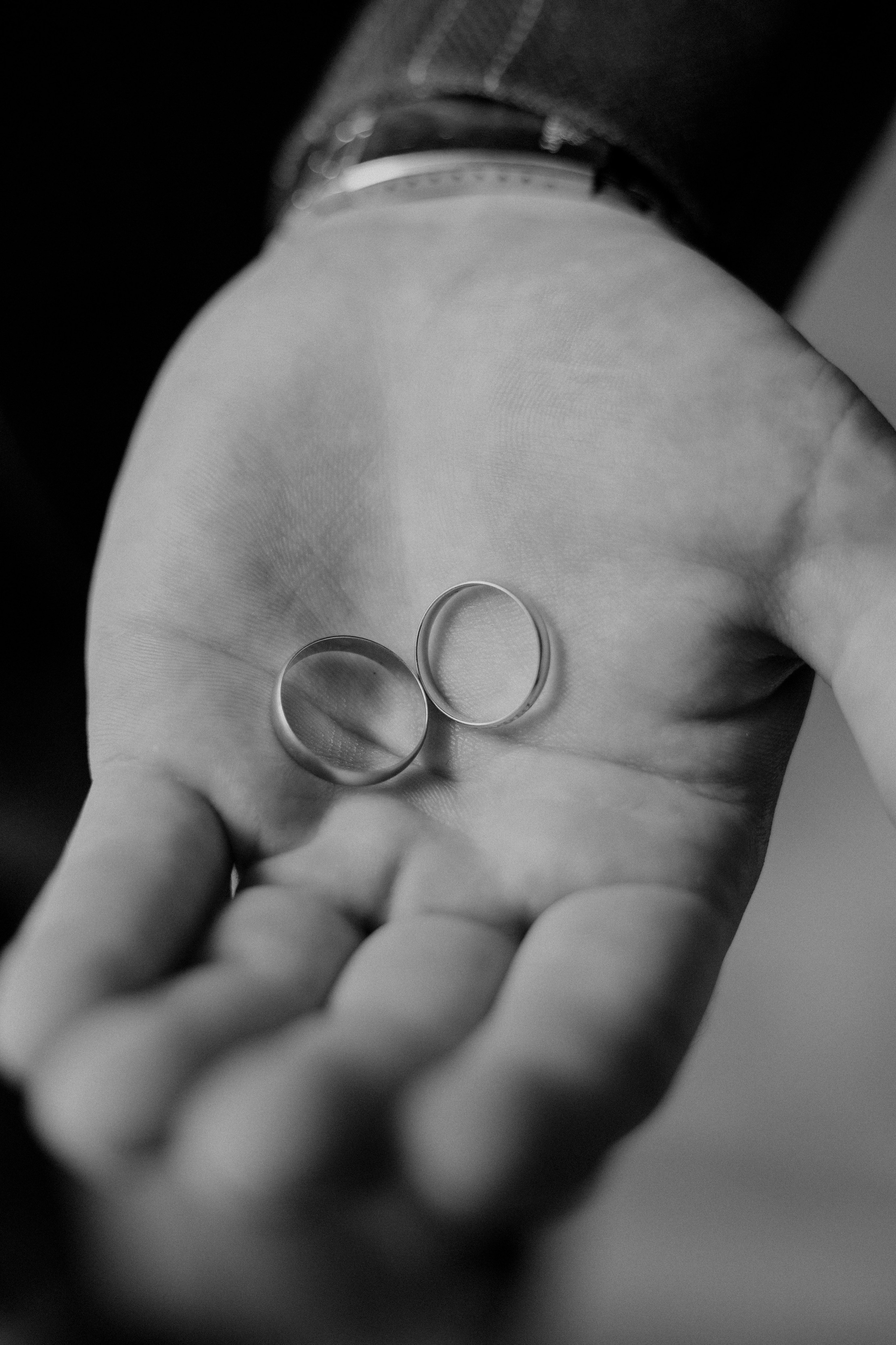 Вик. Фотограф|Волгоград|Фролово