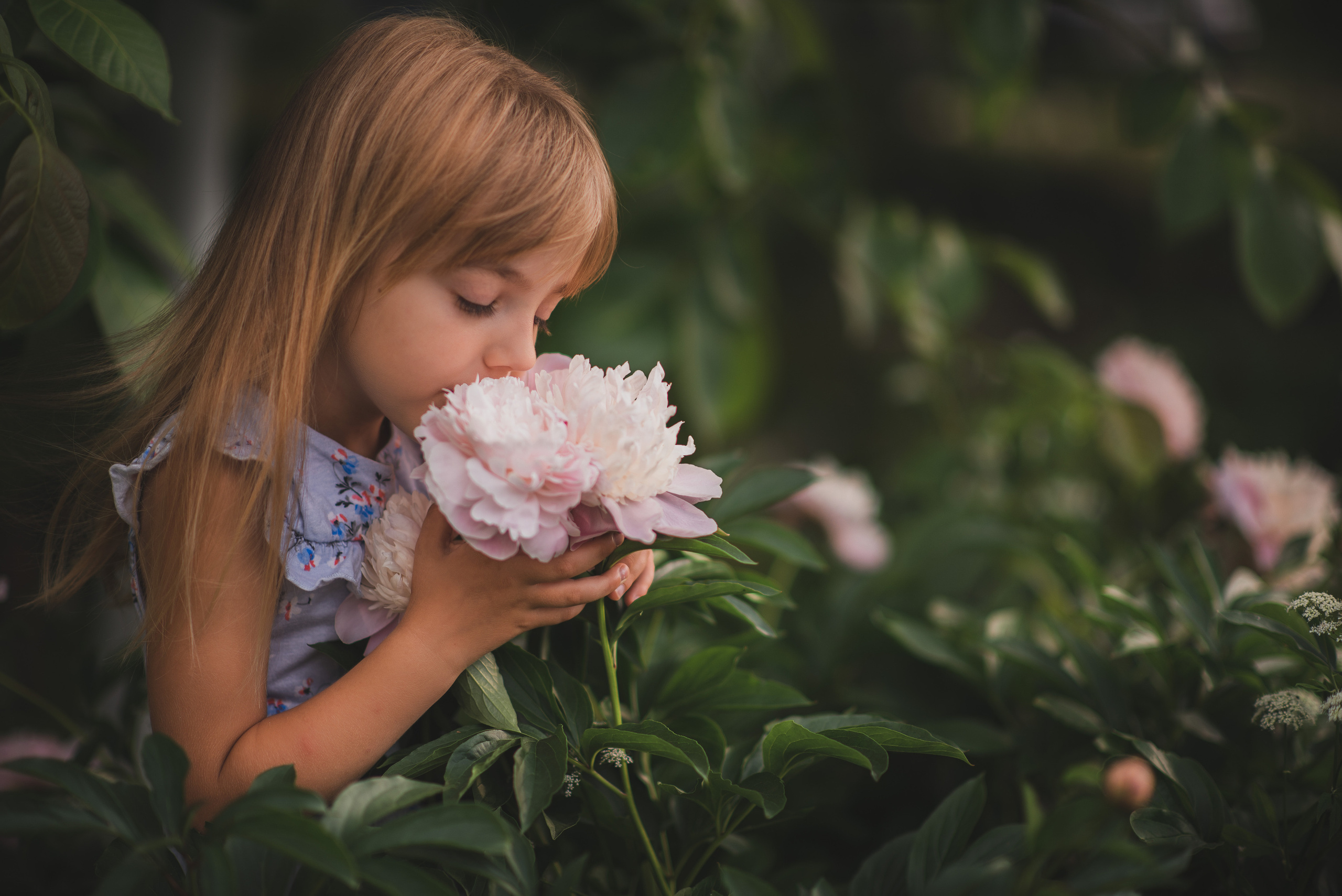 Дети и семьи на природе. Семейный и детский фотограф Дарья Левкович, Калининград
