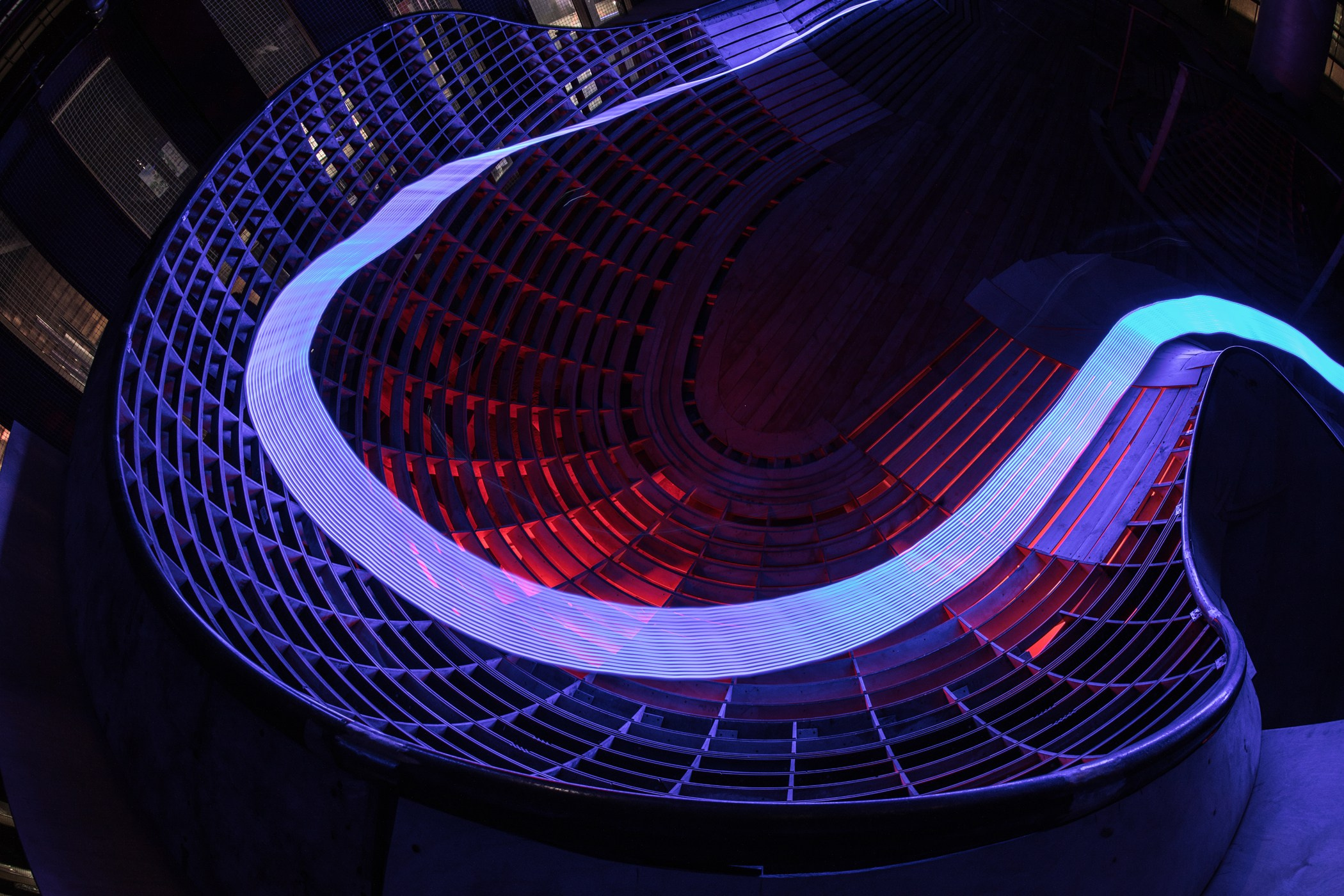 Random photo roulette. Bivol images