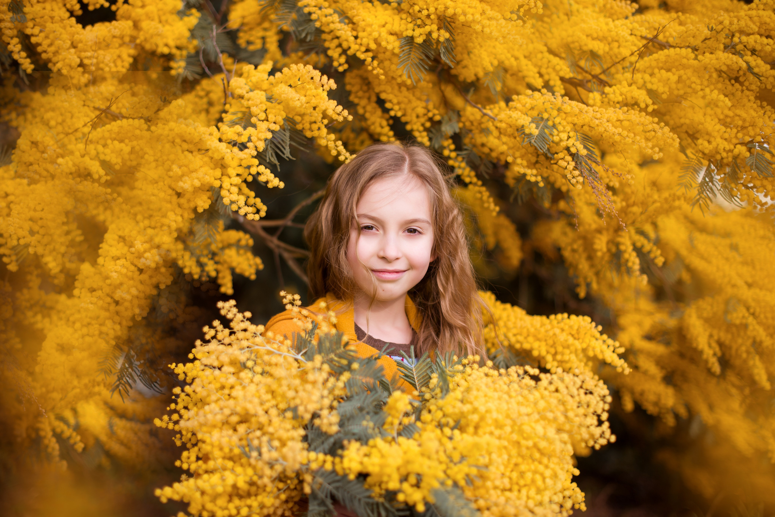 Мимоза. Детский и семейный фотограф в Абхазии