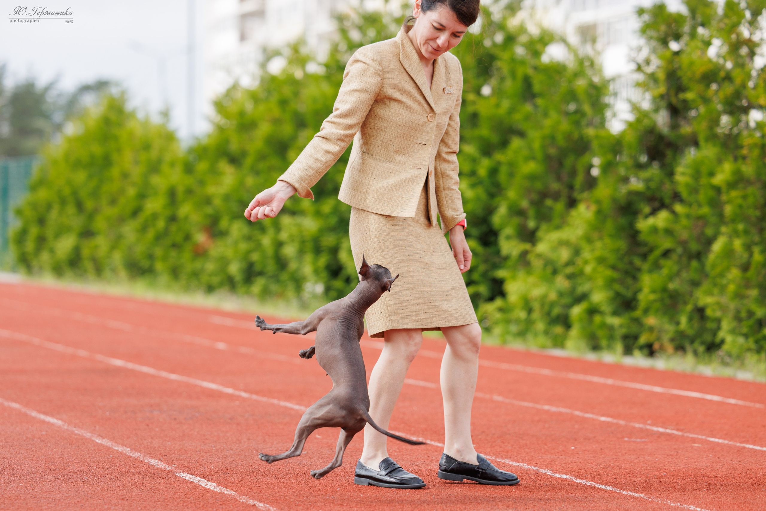 Калининград 25-27.07 Волгоград 1-3.08 2025. Фотограф-анималист Юлия Германика