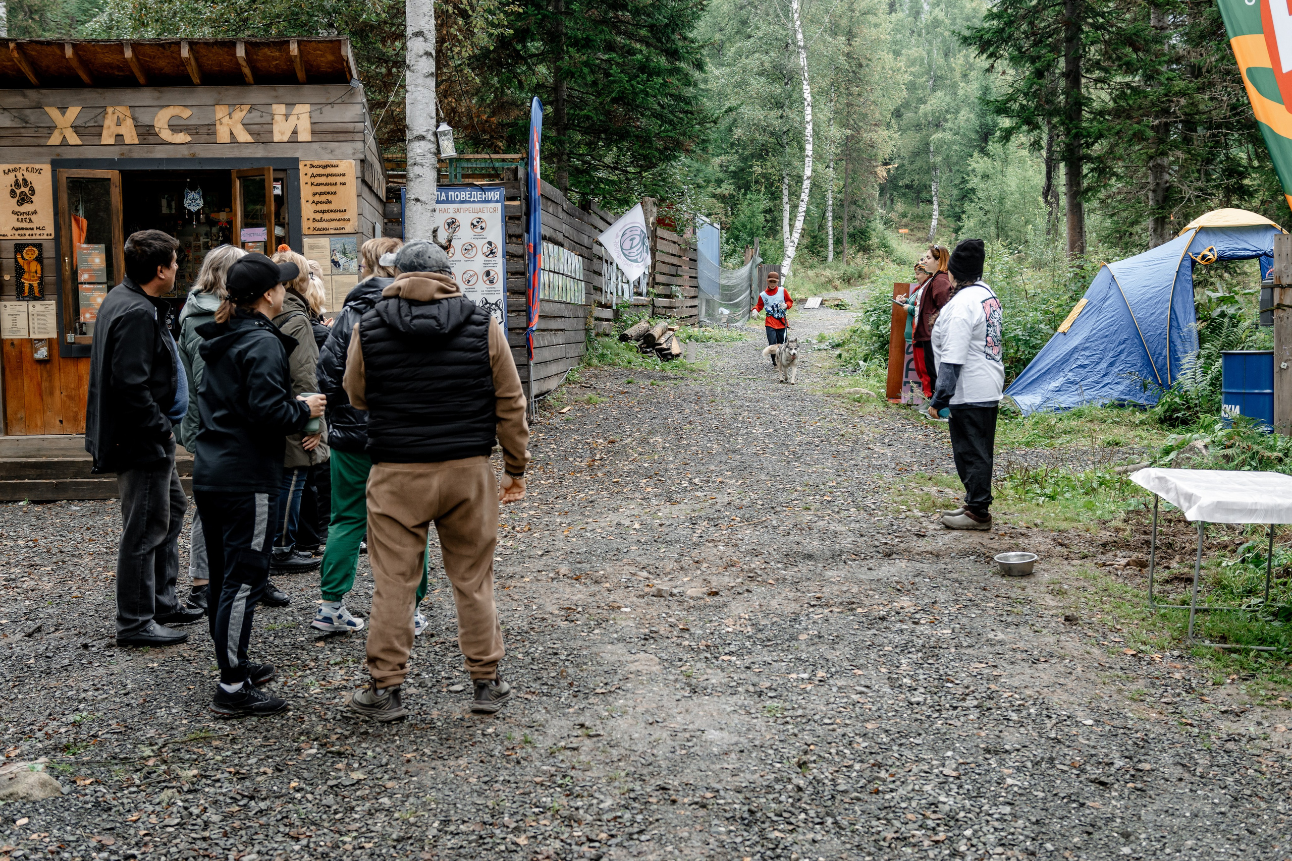 Дог-треккинг