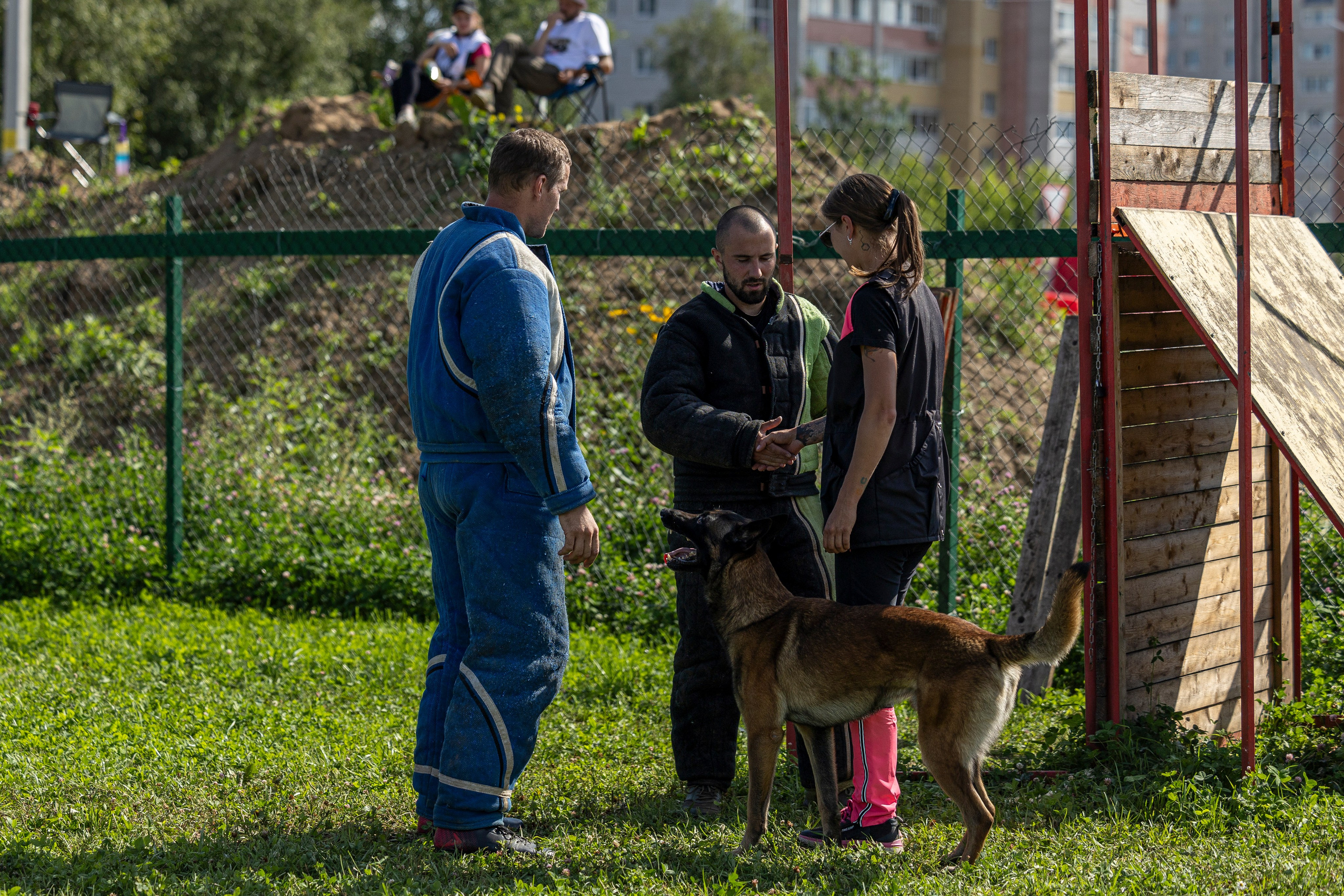 Соревнования по Мондьорингу г. Вологда 10-11.08.2024. Фотограф-анималист Анна Маринич