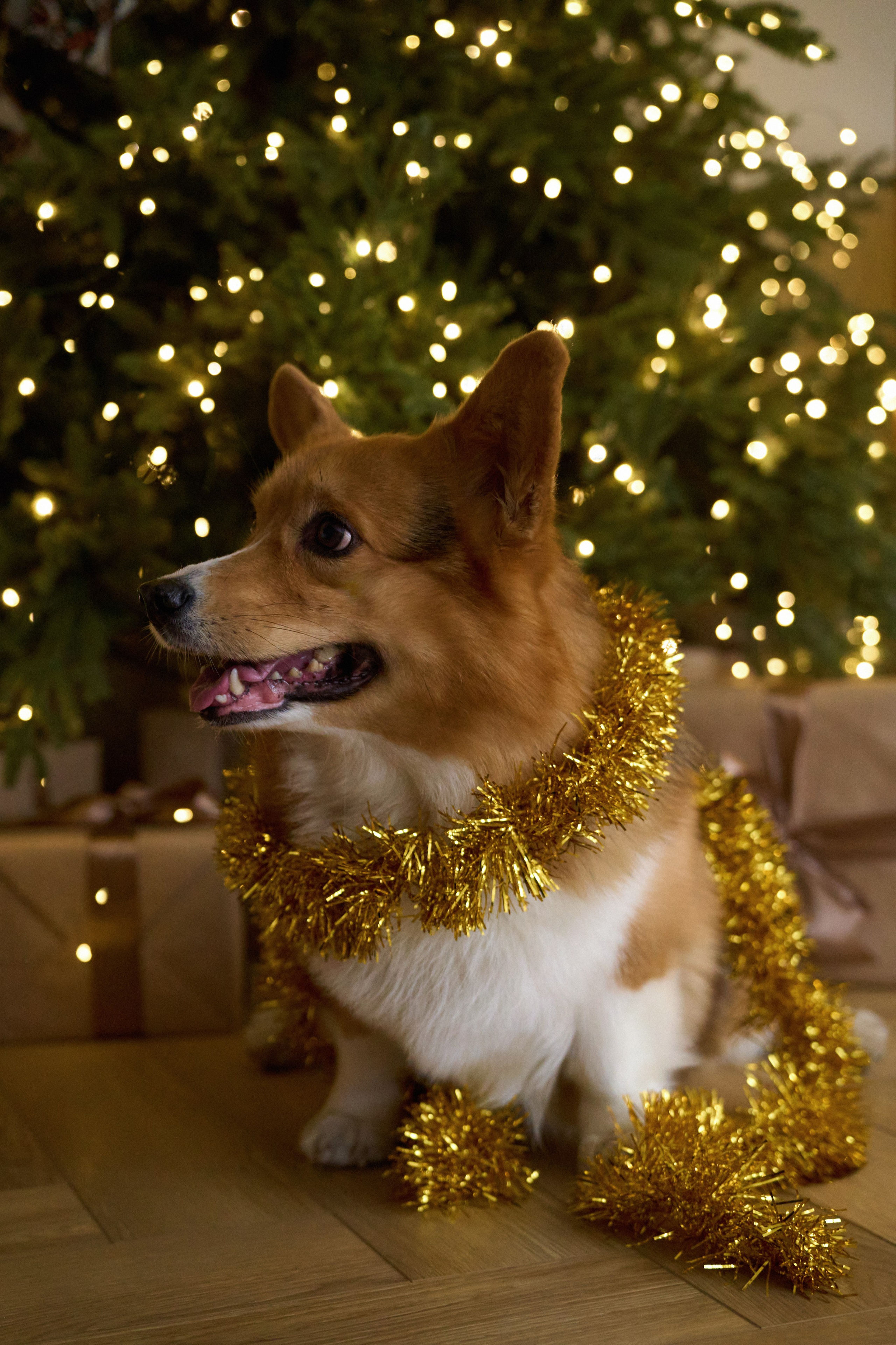 Максим, Кристина и Кофри. Фотограф из Владивостока Юлия Черепова